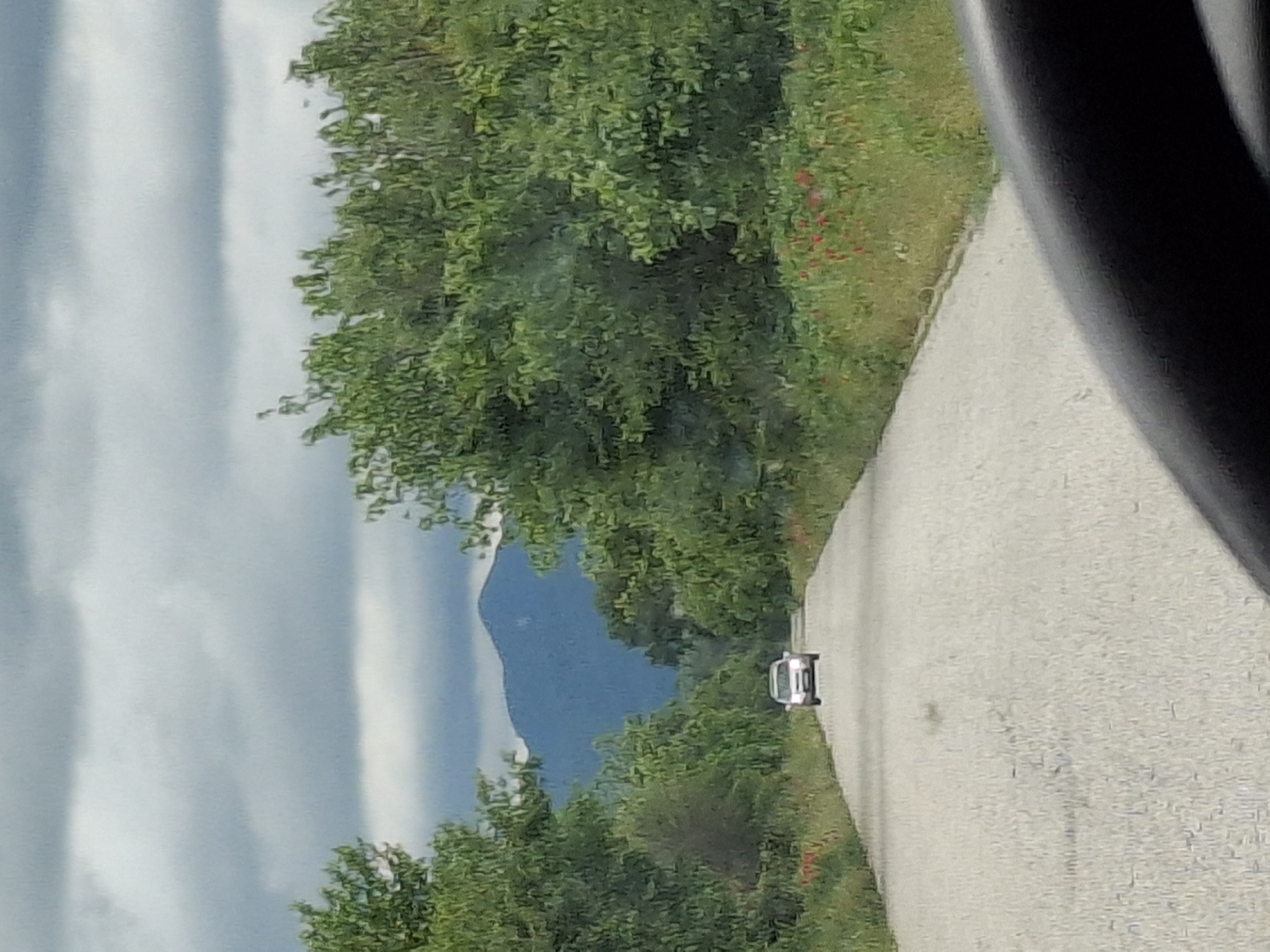 Mountain road scene documented near Dalbok Izvor, Bulgaria