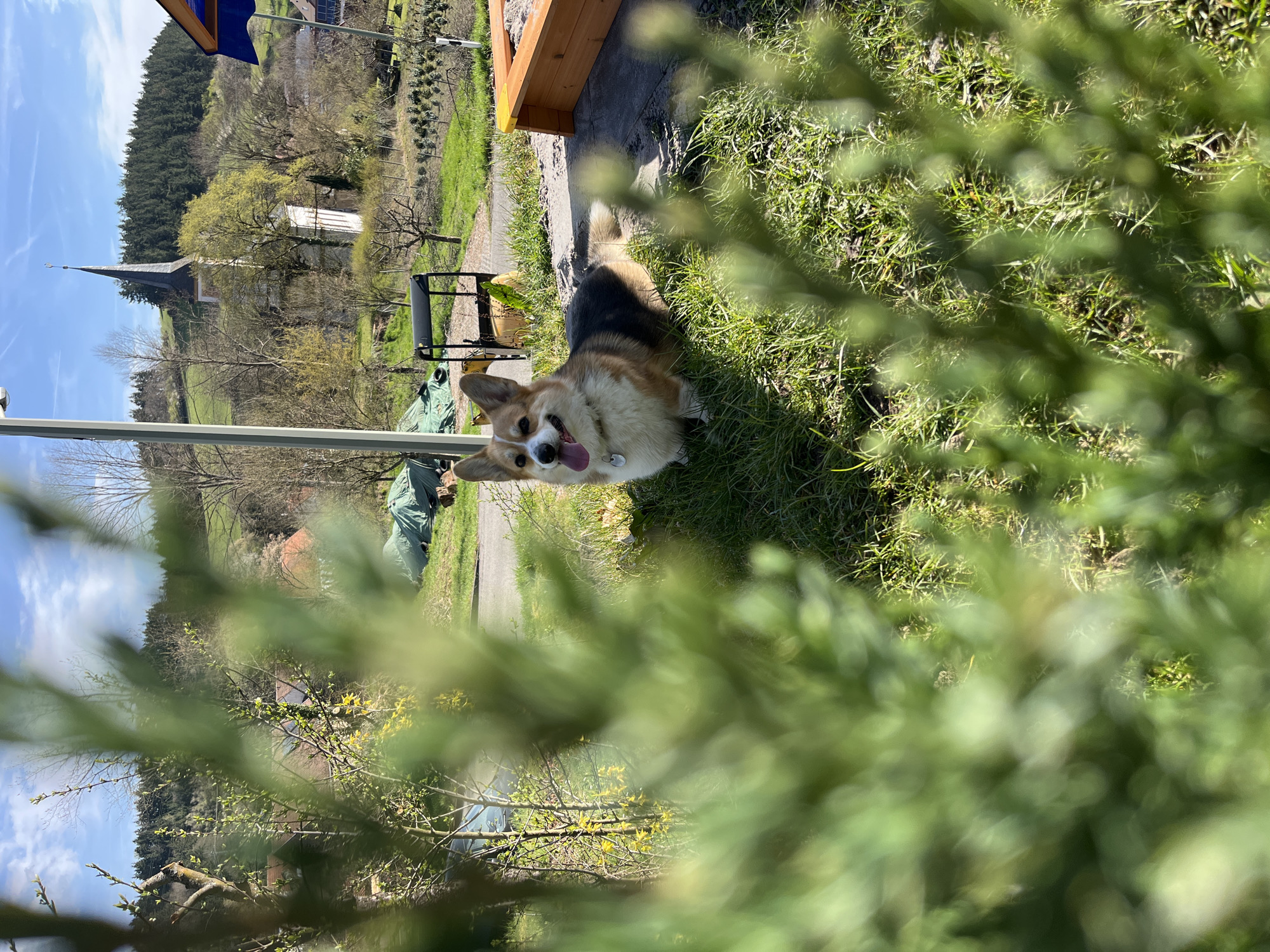 Sunday morning outdoor moments captured in Gangloff, Germany