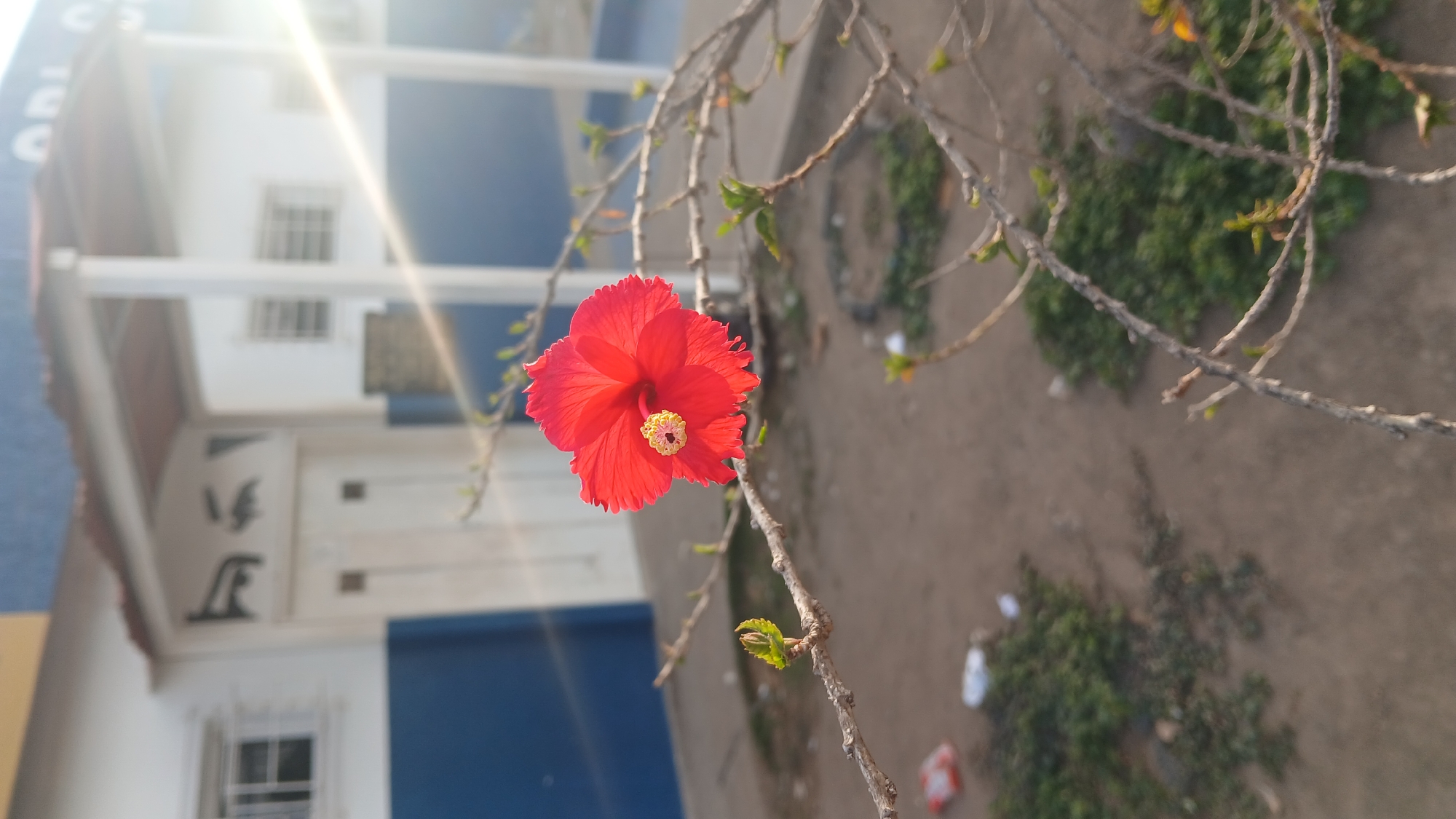 Ordinary moments documented in Barcelona, Venezuela morning scenes