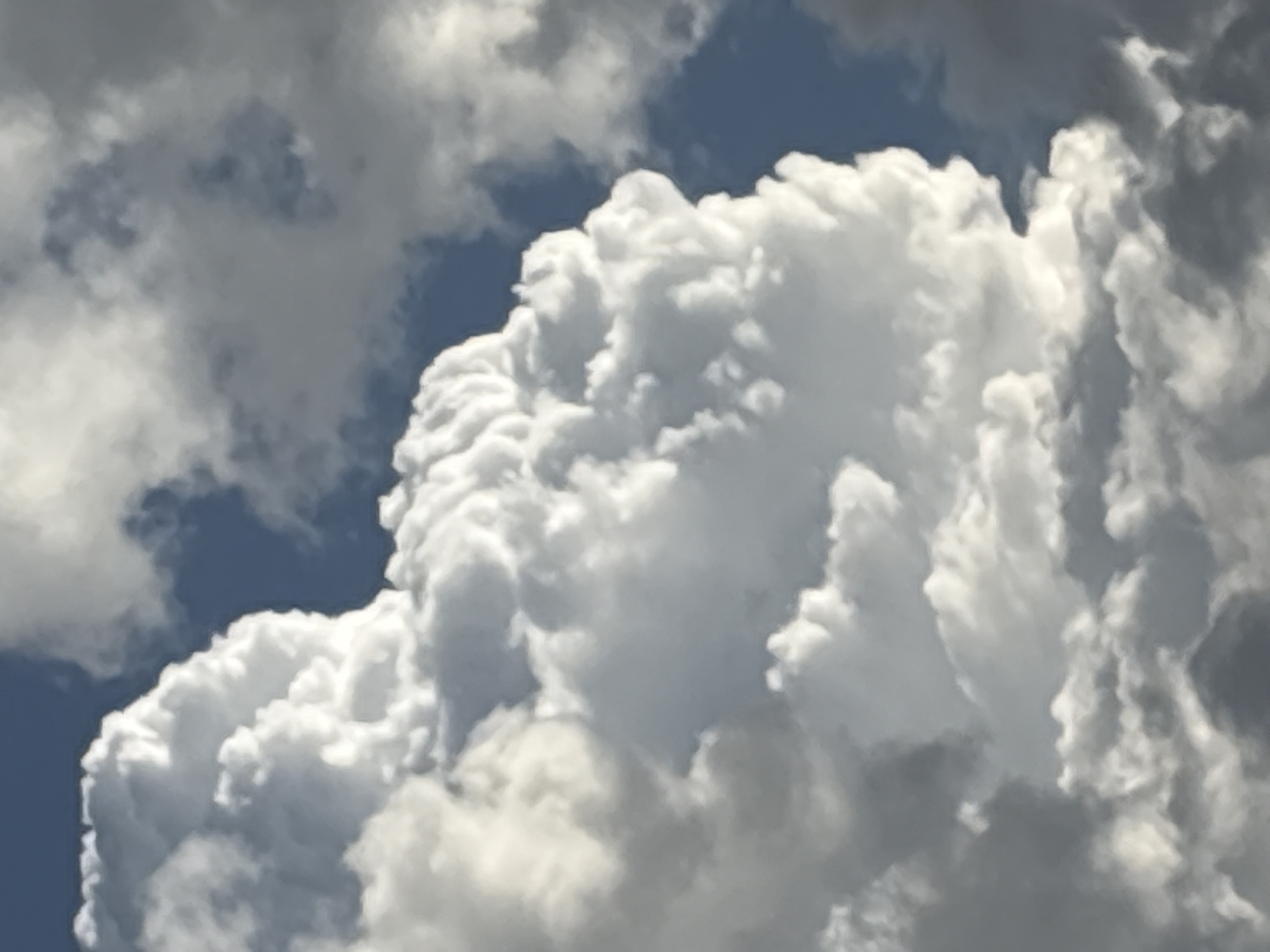 Quiet afternoon documented in Plovdiv: pets, plants, clouds