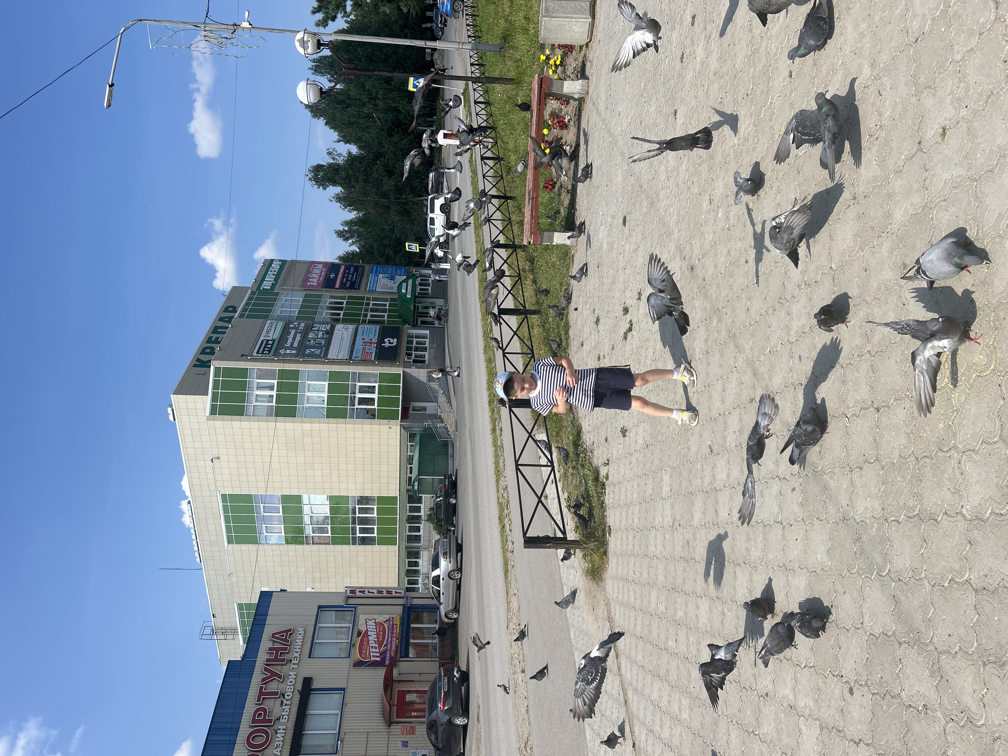 Pigeons and pride: a summer morning in Krasnovishersk