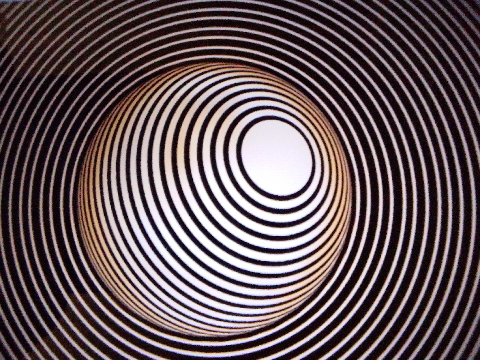 Eclectic mix of illusions, nature, space, and random close-ups