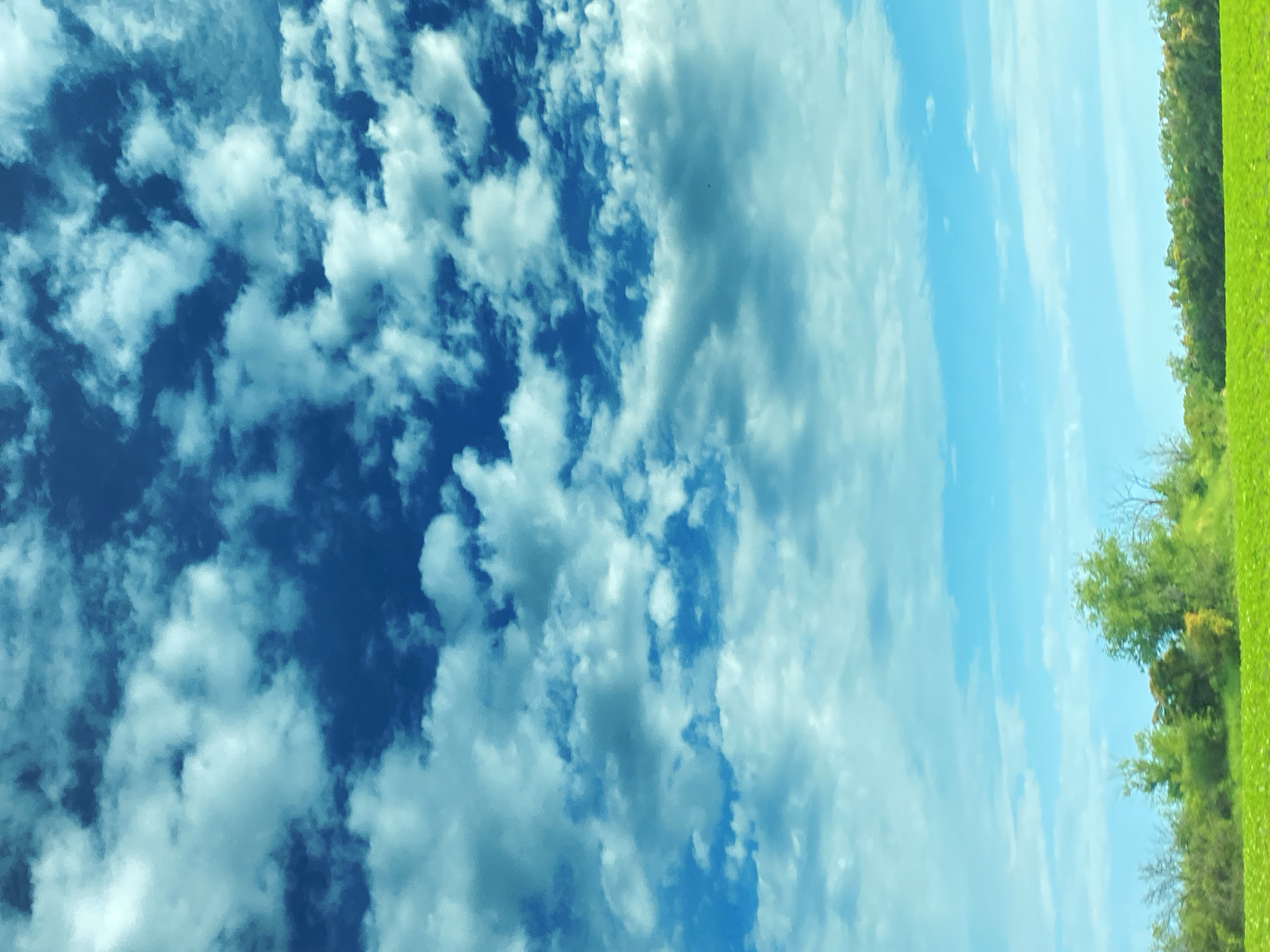 Rural observer documents changing skies and ripe cherry harvest