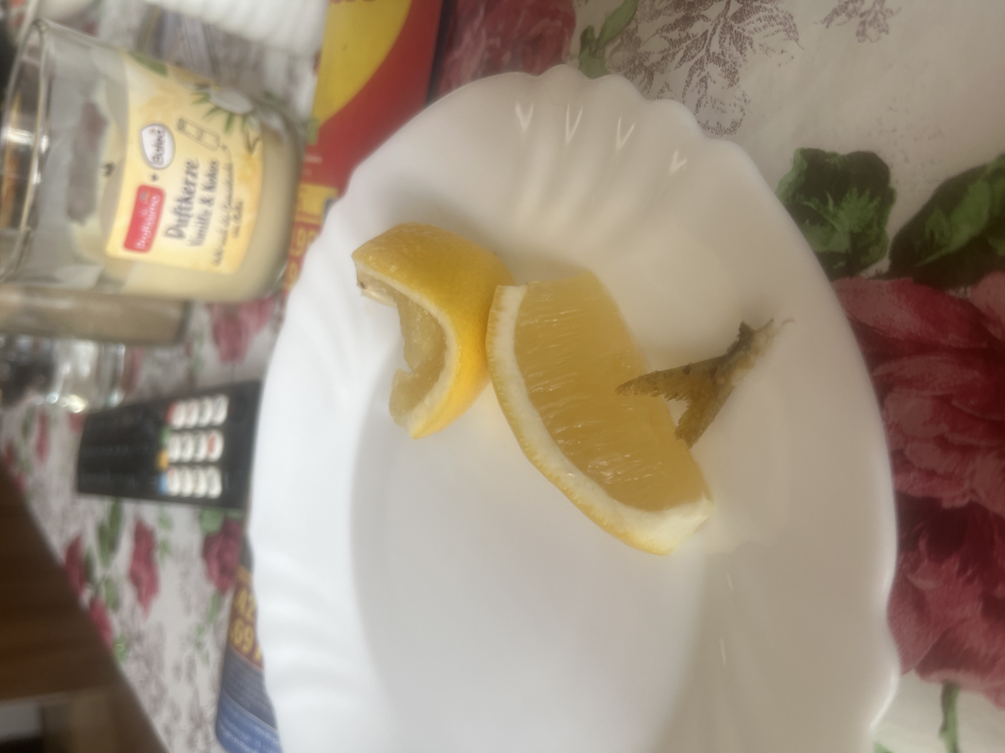 Domestic life documented over 13 minutes in Burgas apartment
