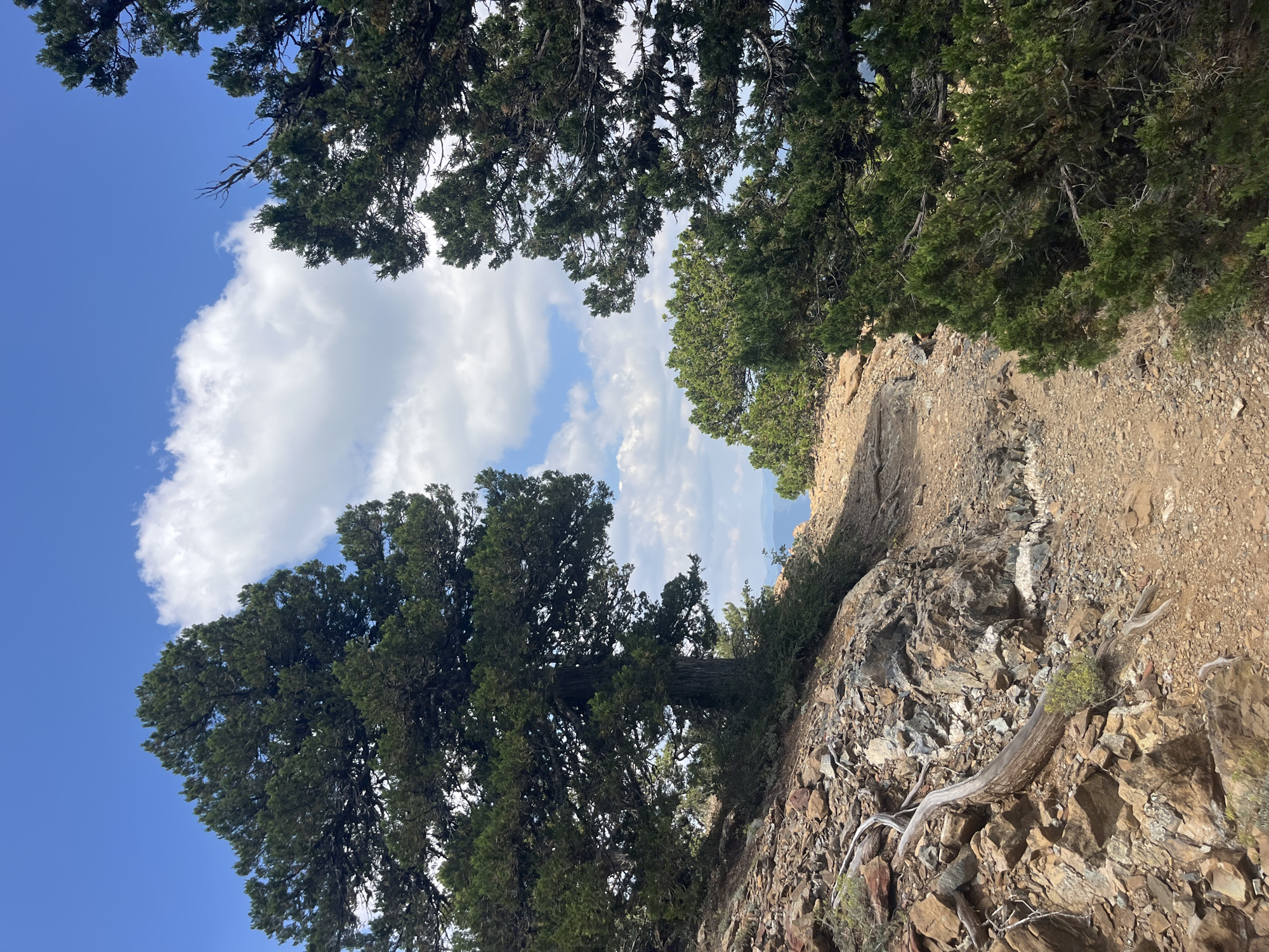 Morning hike through Prodromos mountain trails, Troodos Cyprus