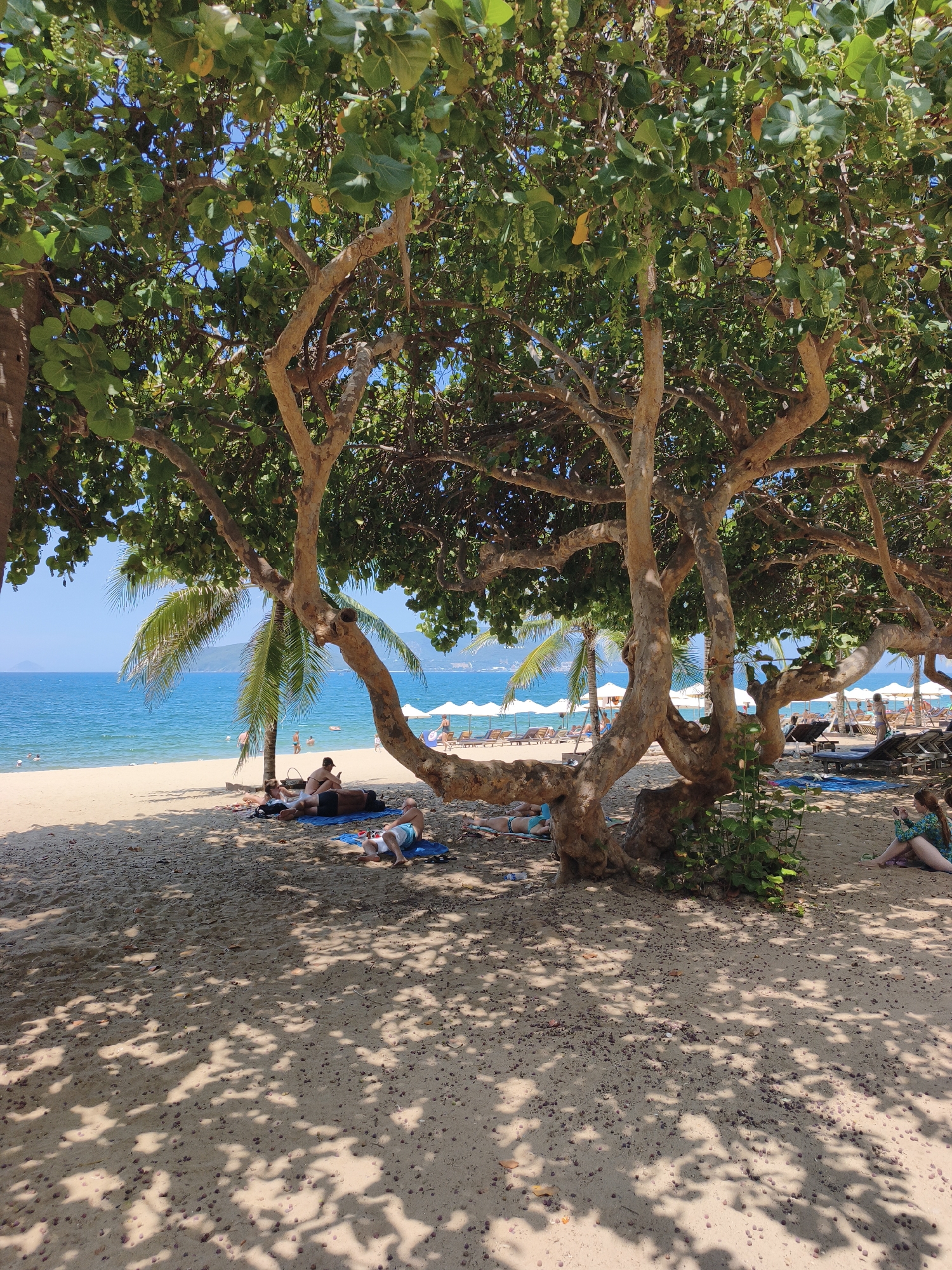 Kitesurfing and beach life on a sunny Nha Trang morning