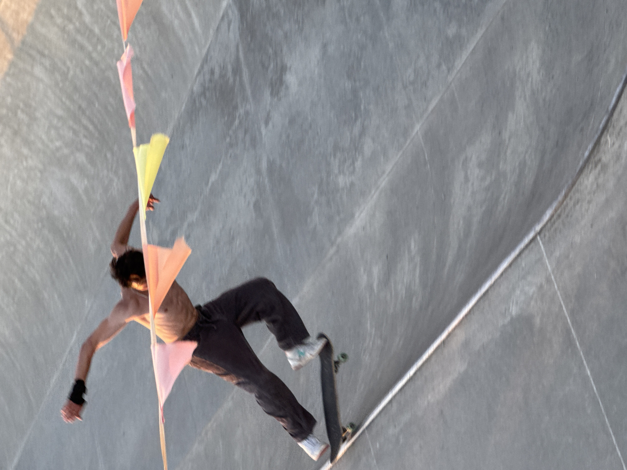 Sochi skatepark session with skating, filming, and a Borzoi