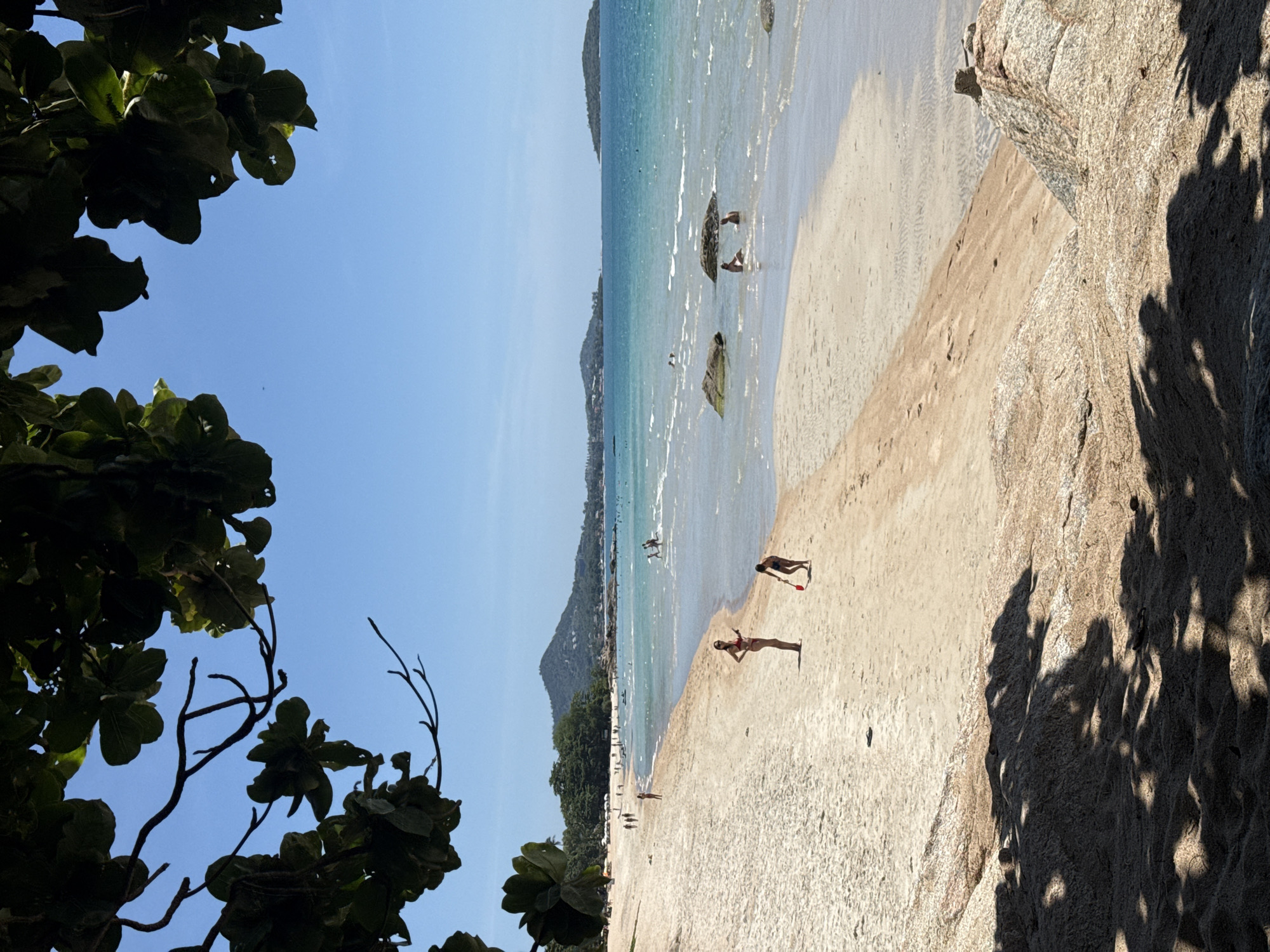 Beach day on Ko Samui featuring a leaning palm tree