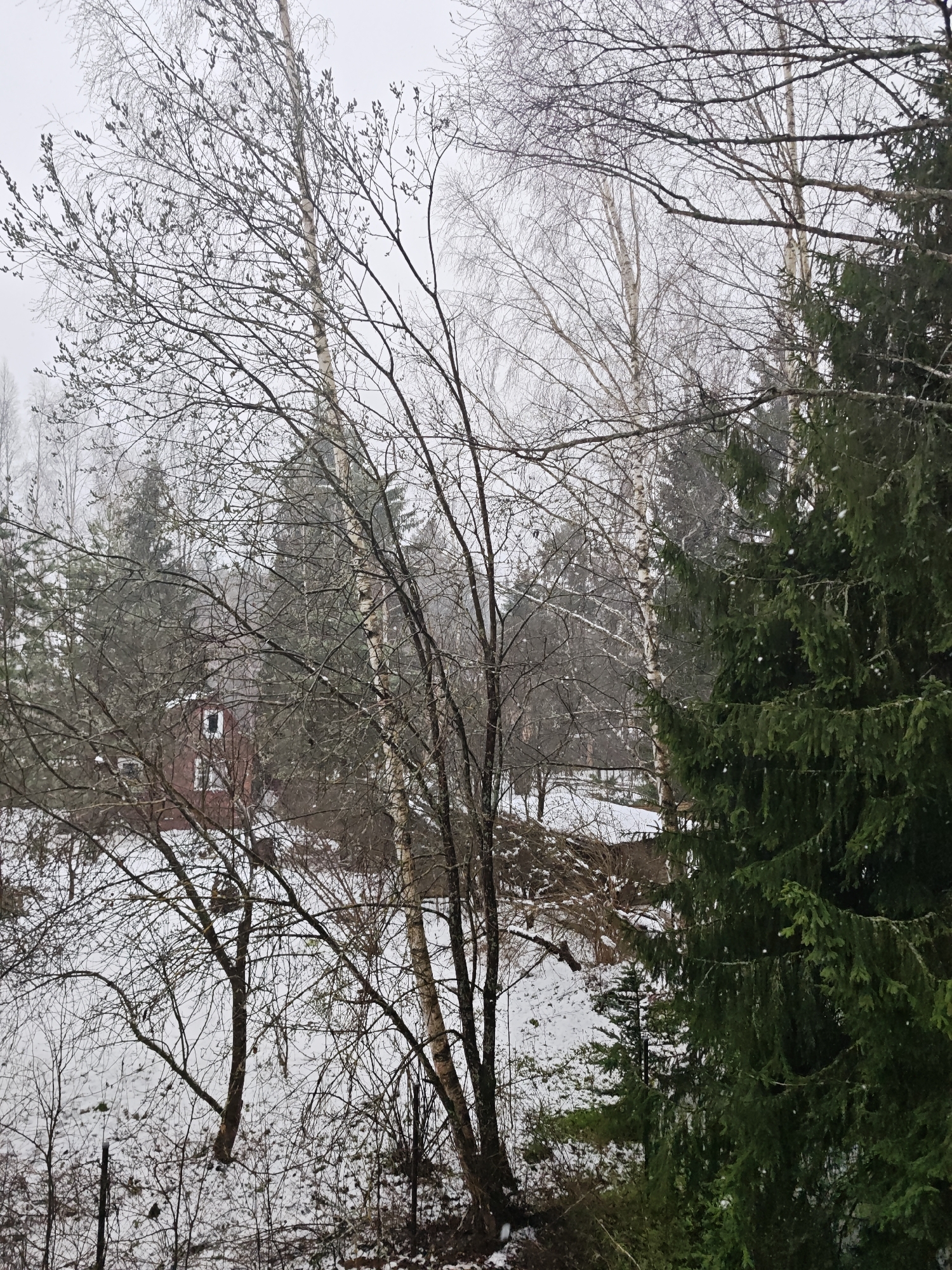 Late spring snowfall documented in rural Russia village