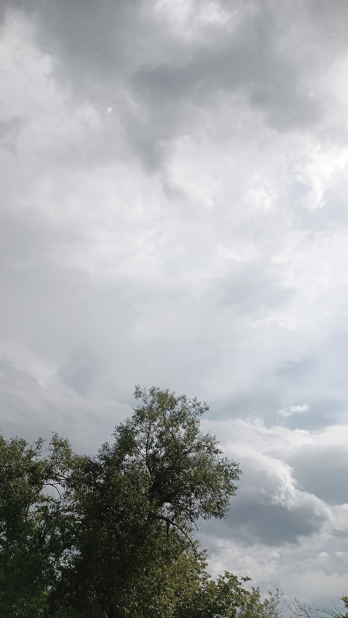 Rural scenes documented during rainy afternoon in Muzga, Bulgaria