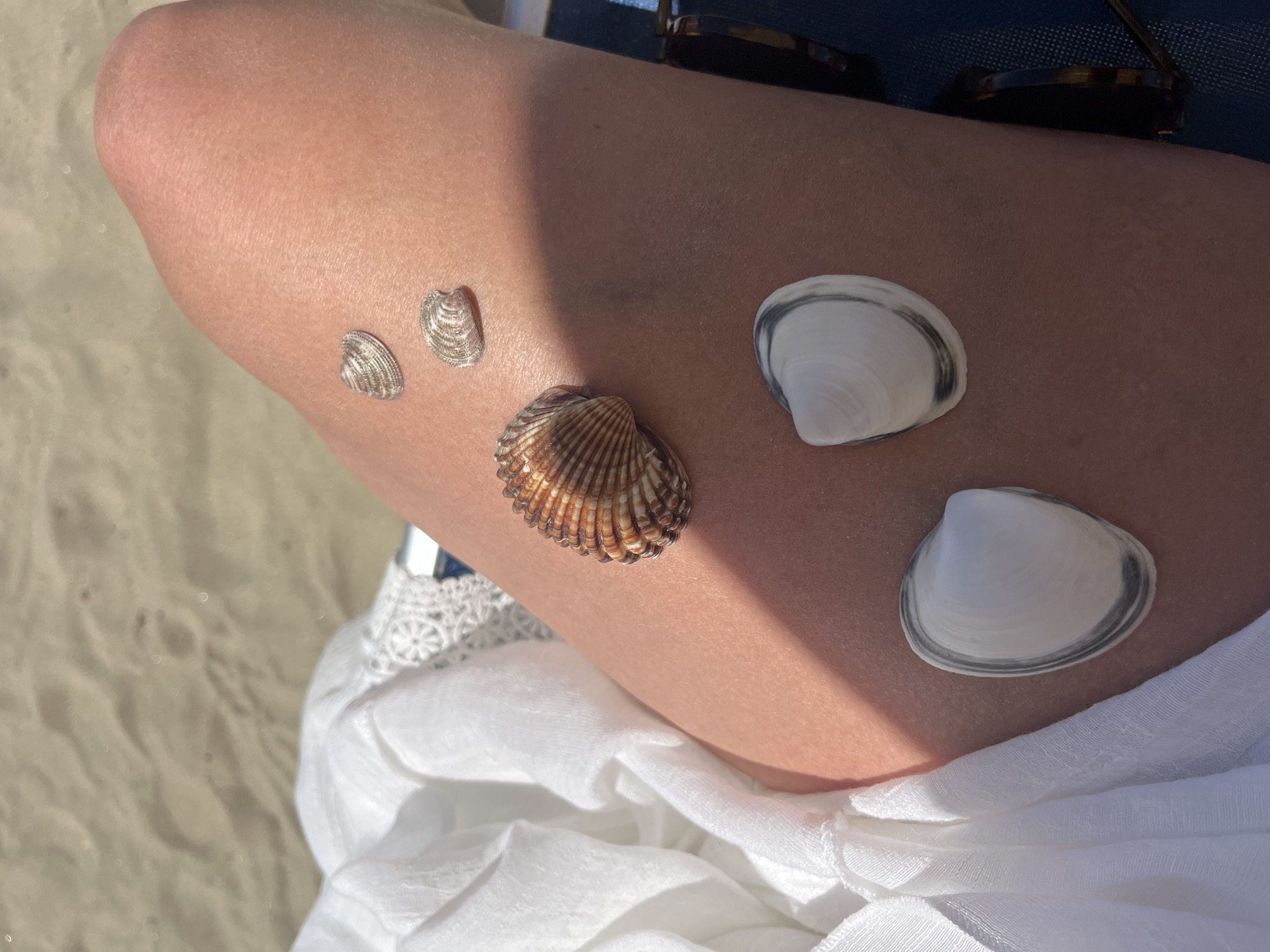 Beach day documented through personal items and coastal scenes