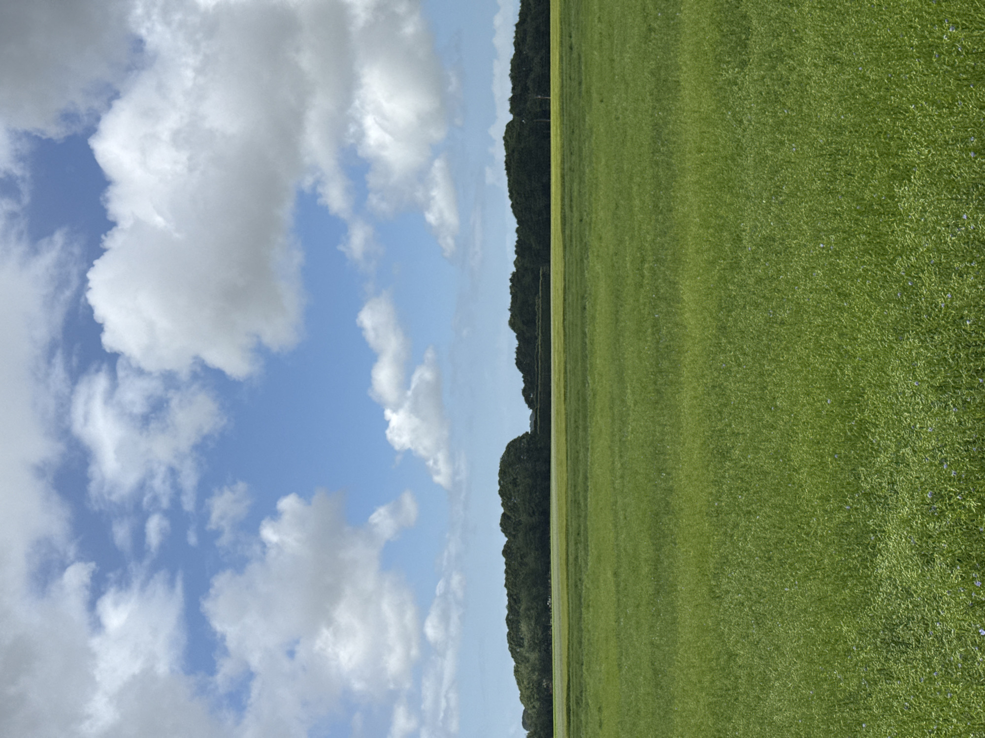 Peaceful grassland landscape captured in Limpiville, France