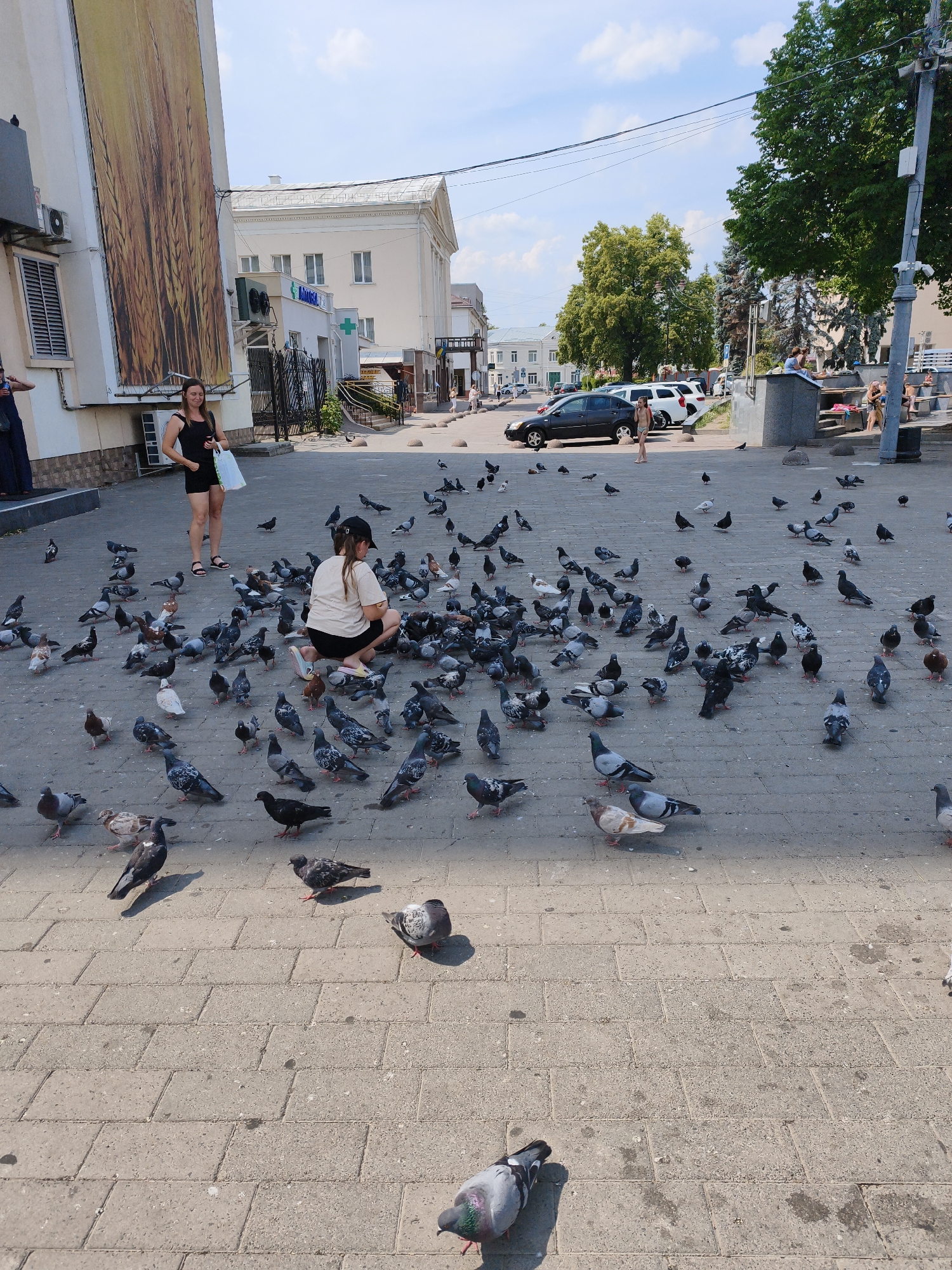 Sunny afternoon at a Lutsk plaza — pigeons, fountains, and people