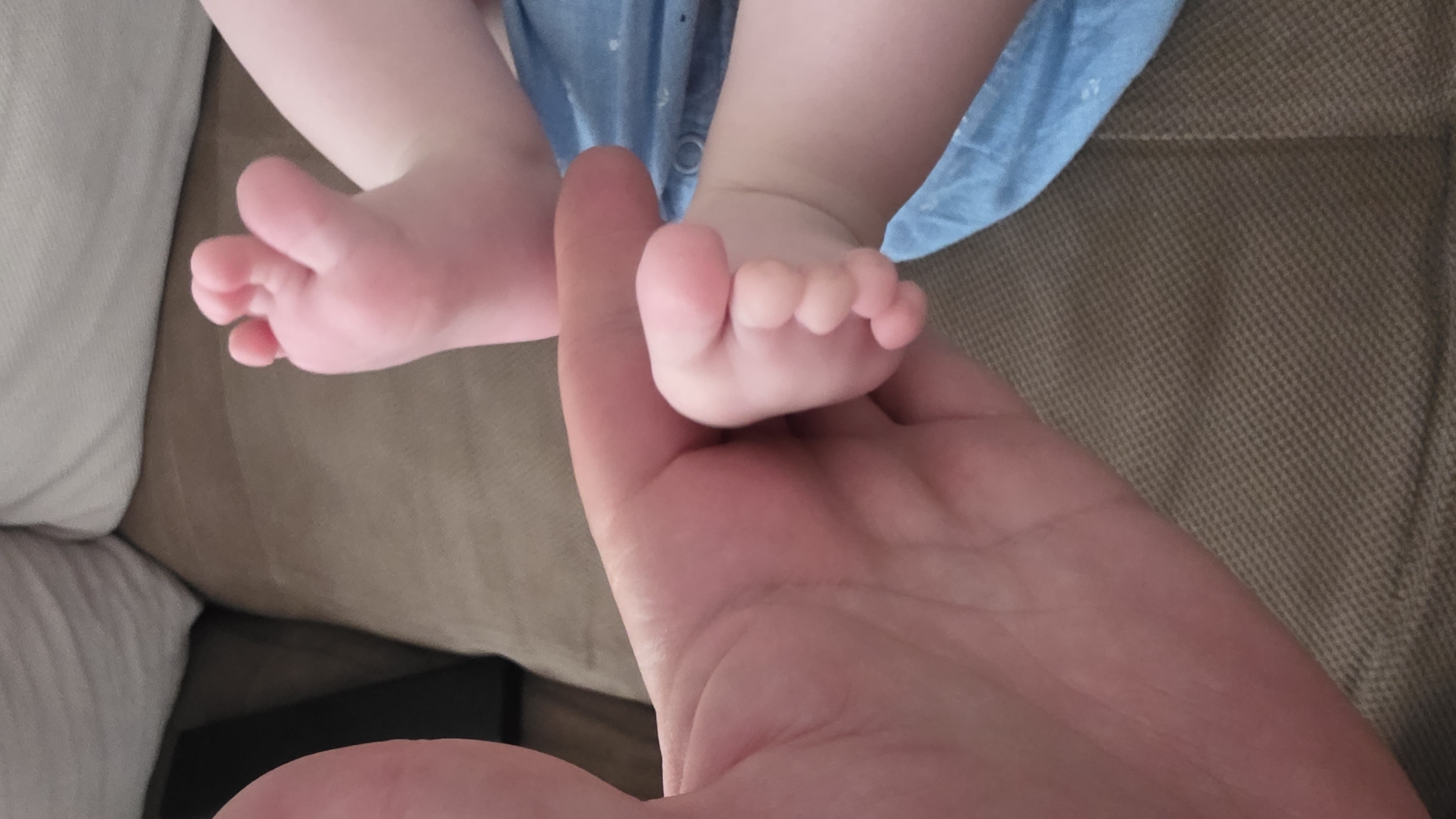 Tender moments: baby feet and glasses-wearing dog captured in Bulgaria