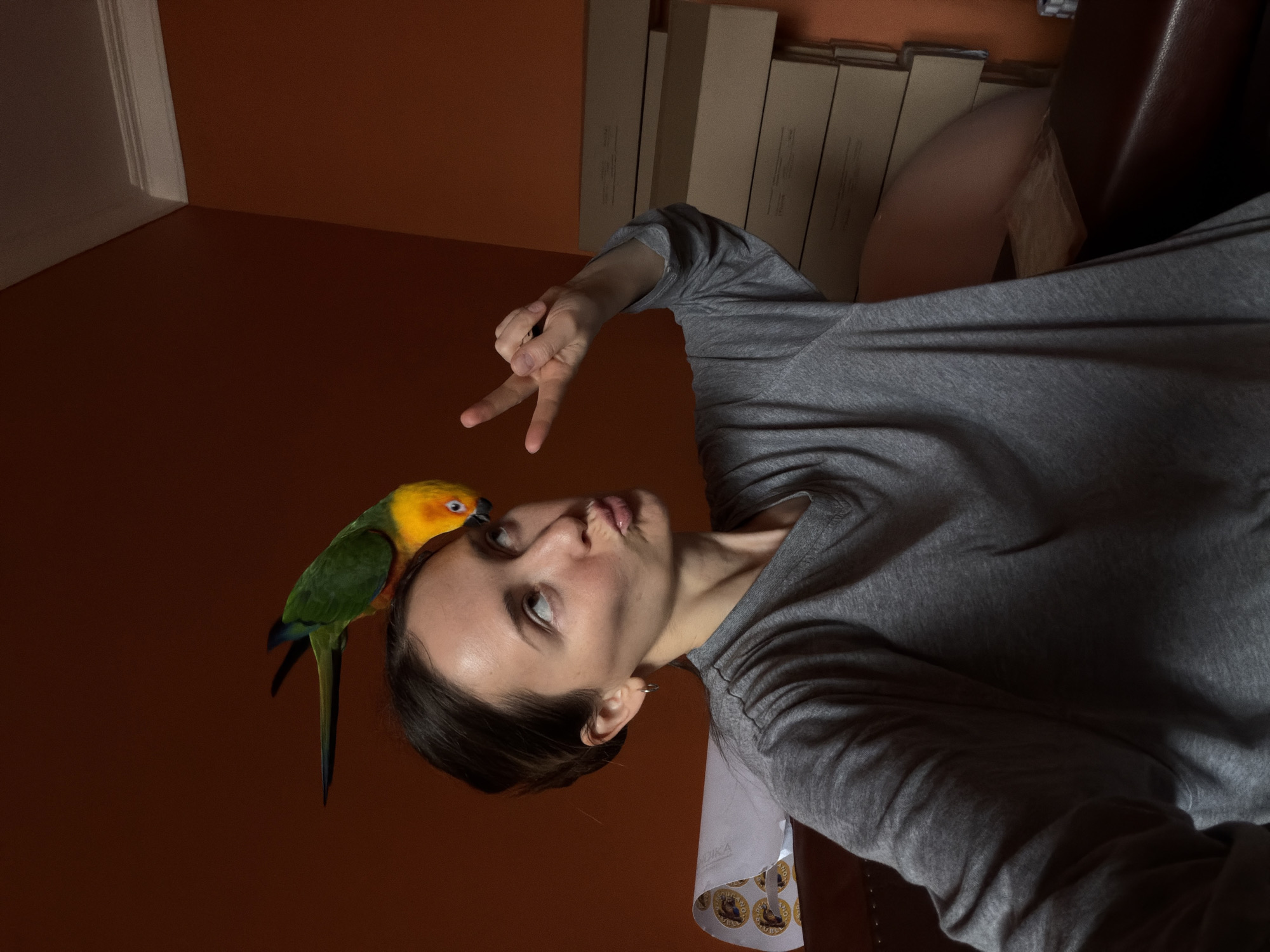 Colorful parrot perches on sleeping child's crib in Khimki