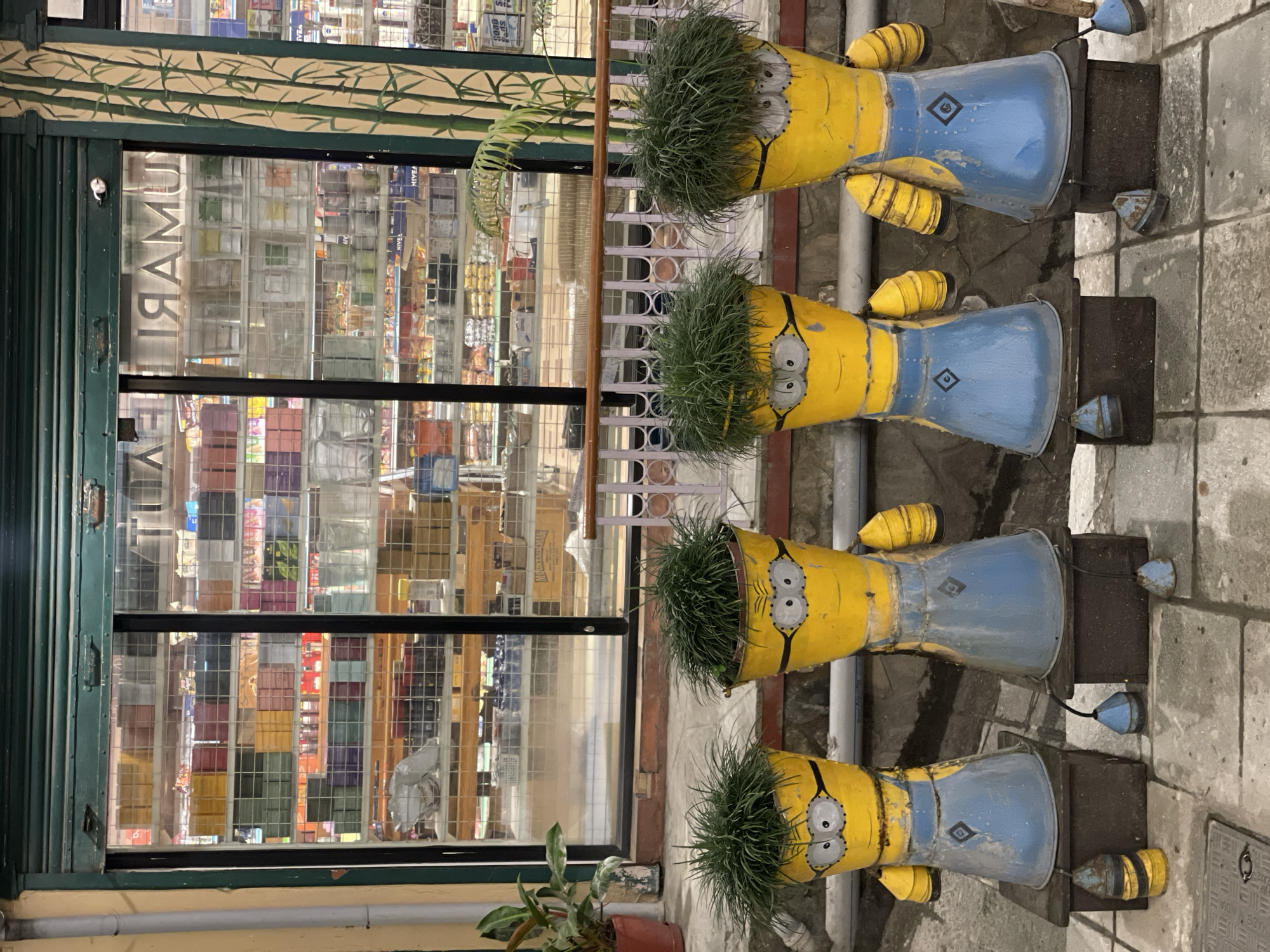 Decorated storefront with Minion planters observed in Pokhara