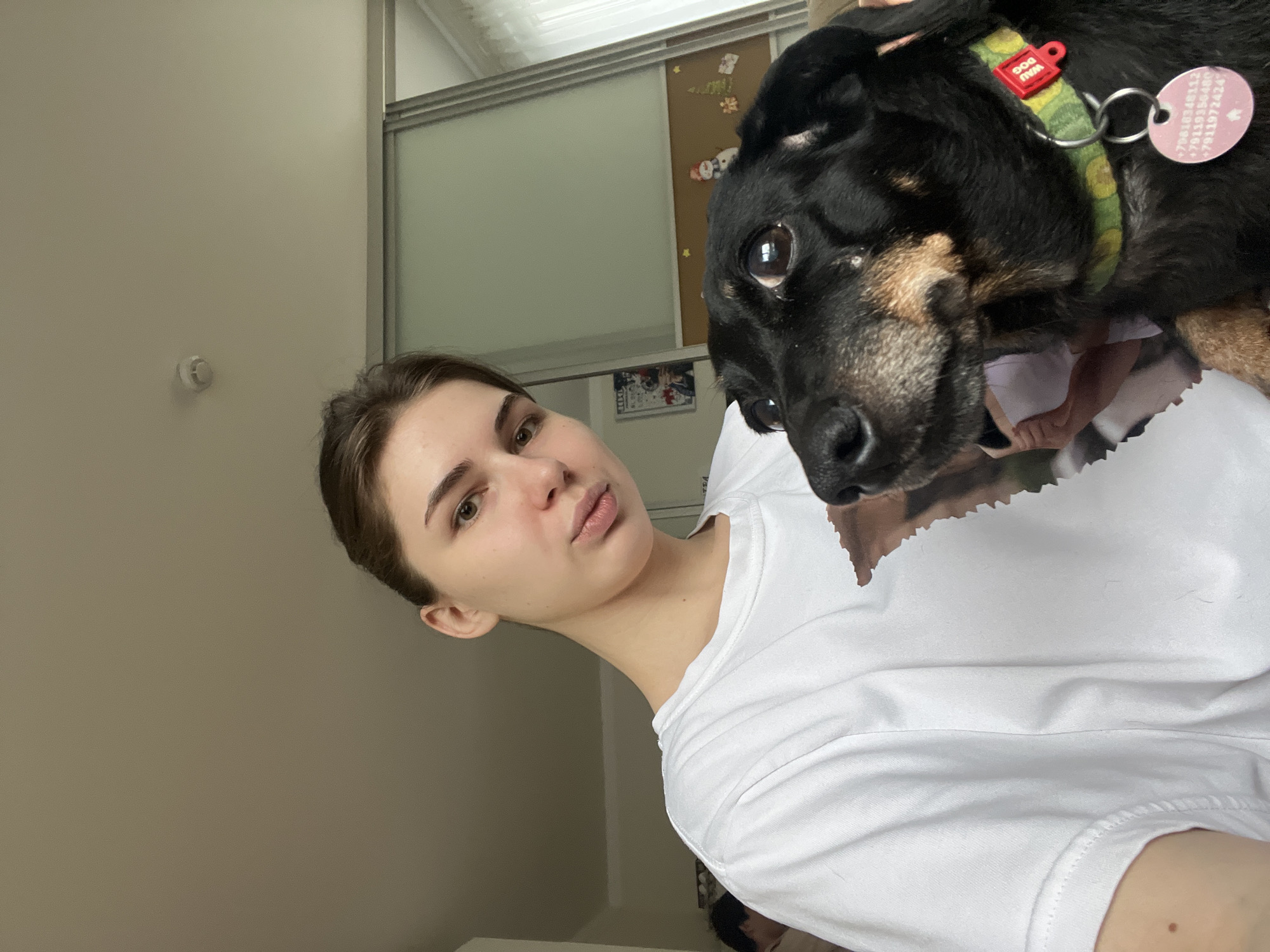 Couple photographed with tagged dog in Saint Petersburg