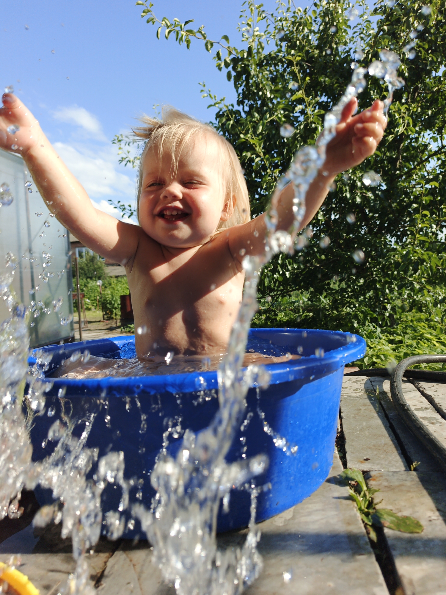 Summer day at a Russian dacha: garden, pools, and flowers