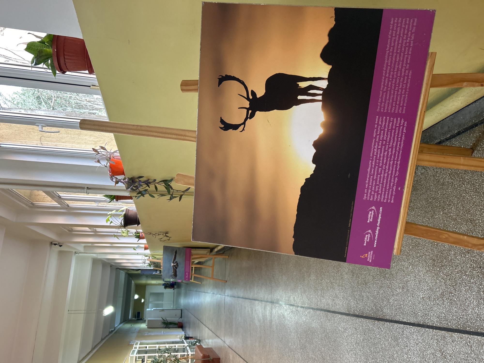 Museum visitors document natural history exhibits in Plovdiv, Bulgaria