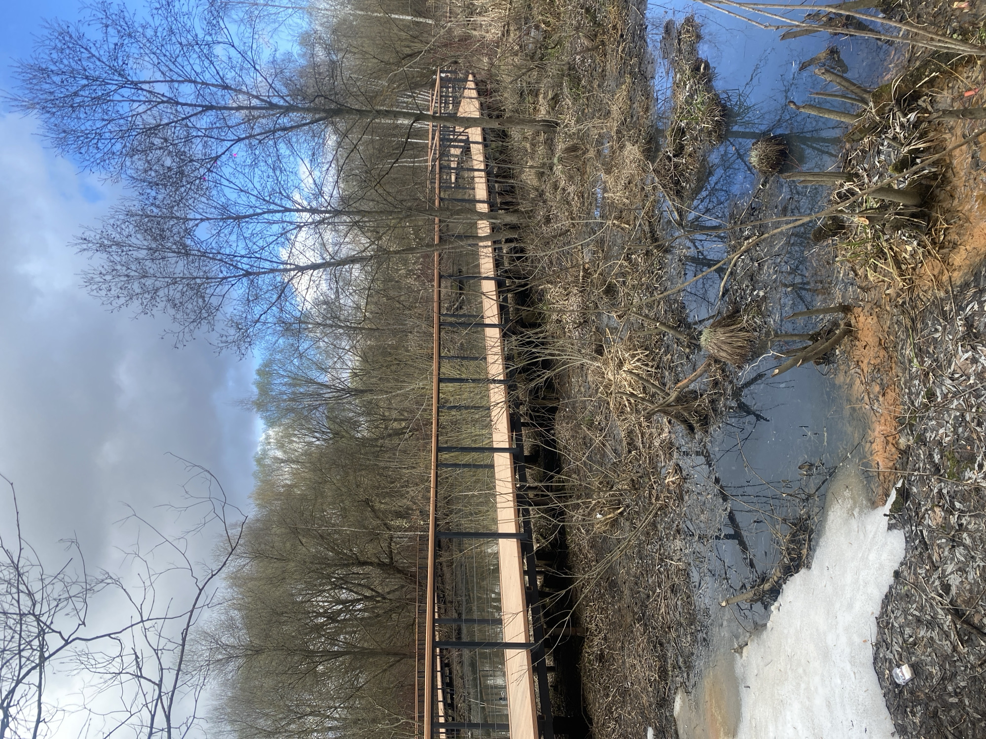 Moscow park boardwalk shows winter conditions with ice patches