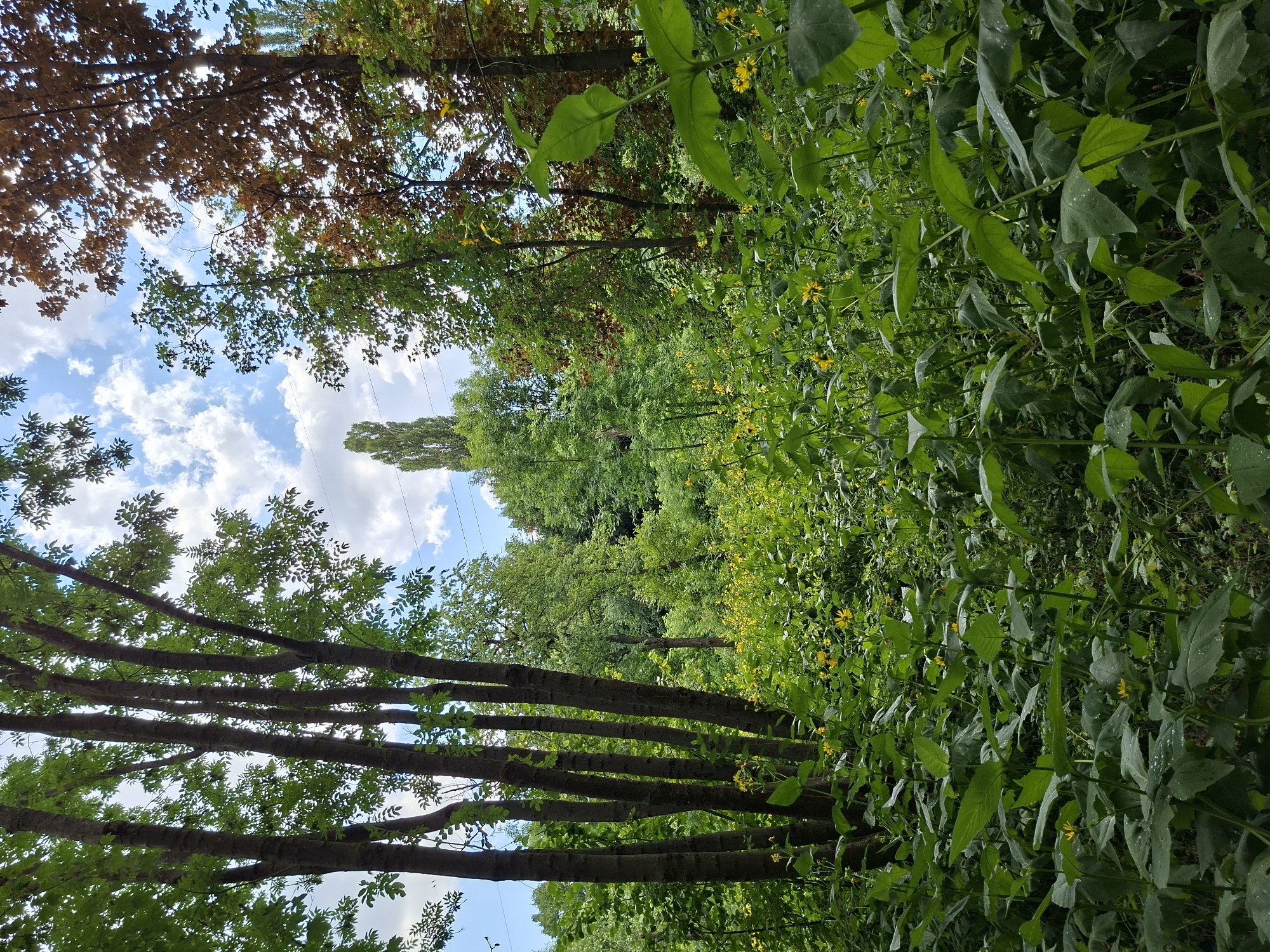 Chișinău, Moldova