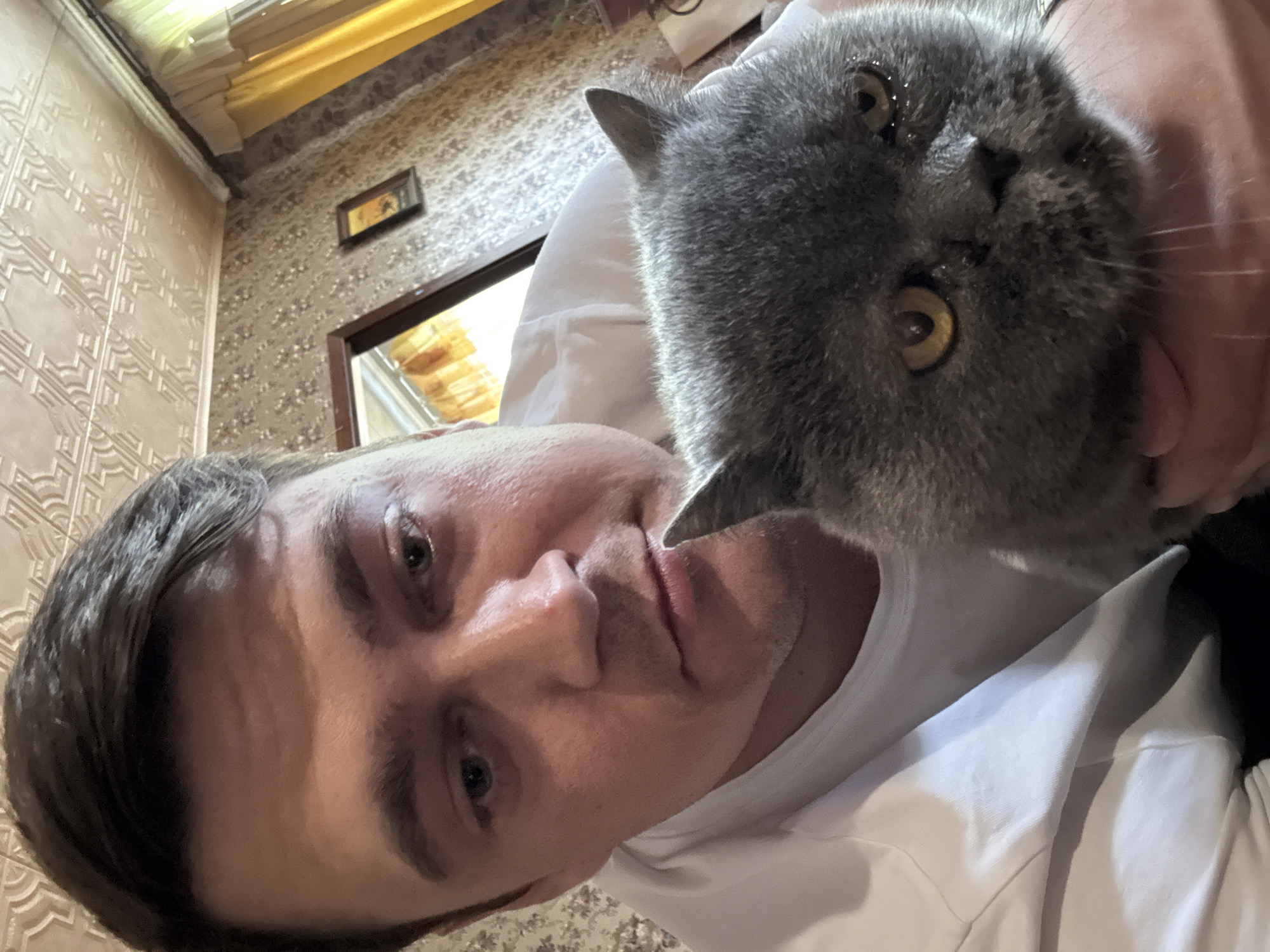 Man spends quiet afternoon with grey cat in Minsk home