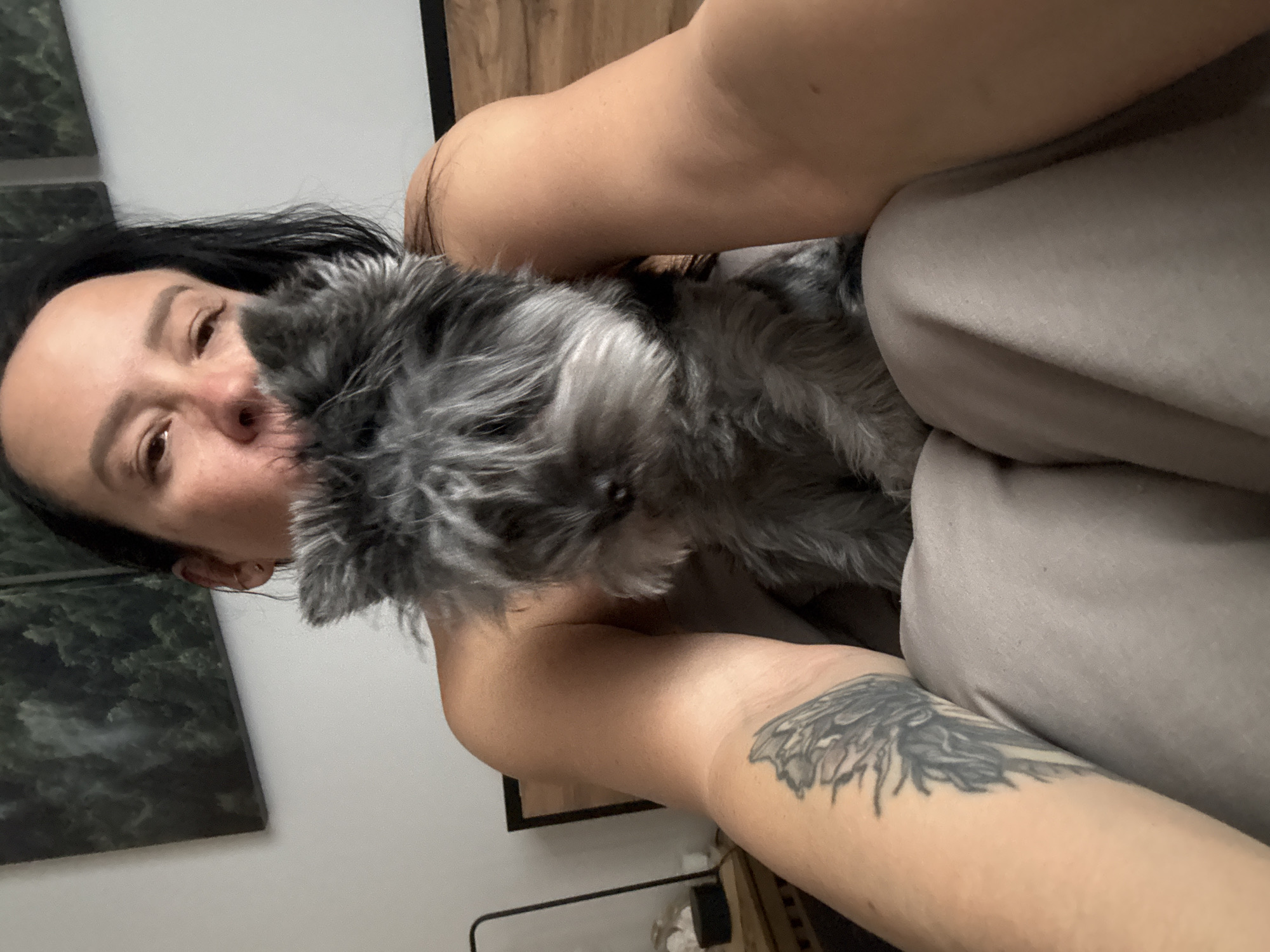 Person with tattooed arm holds gray dog indoors in Chaikovsky