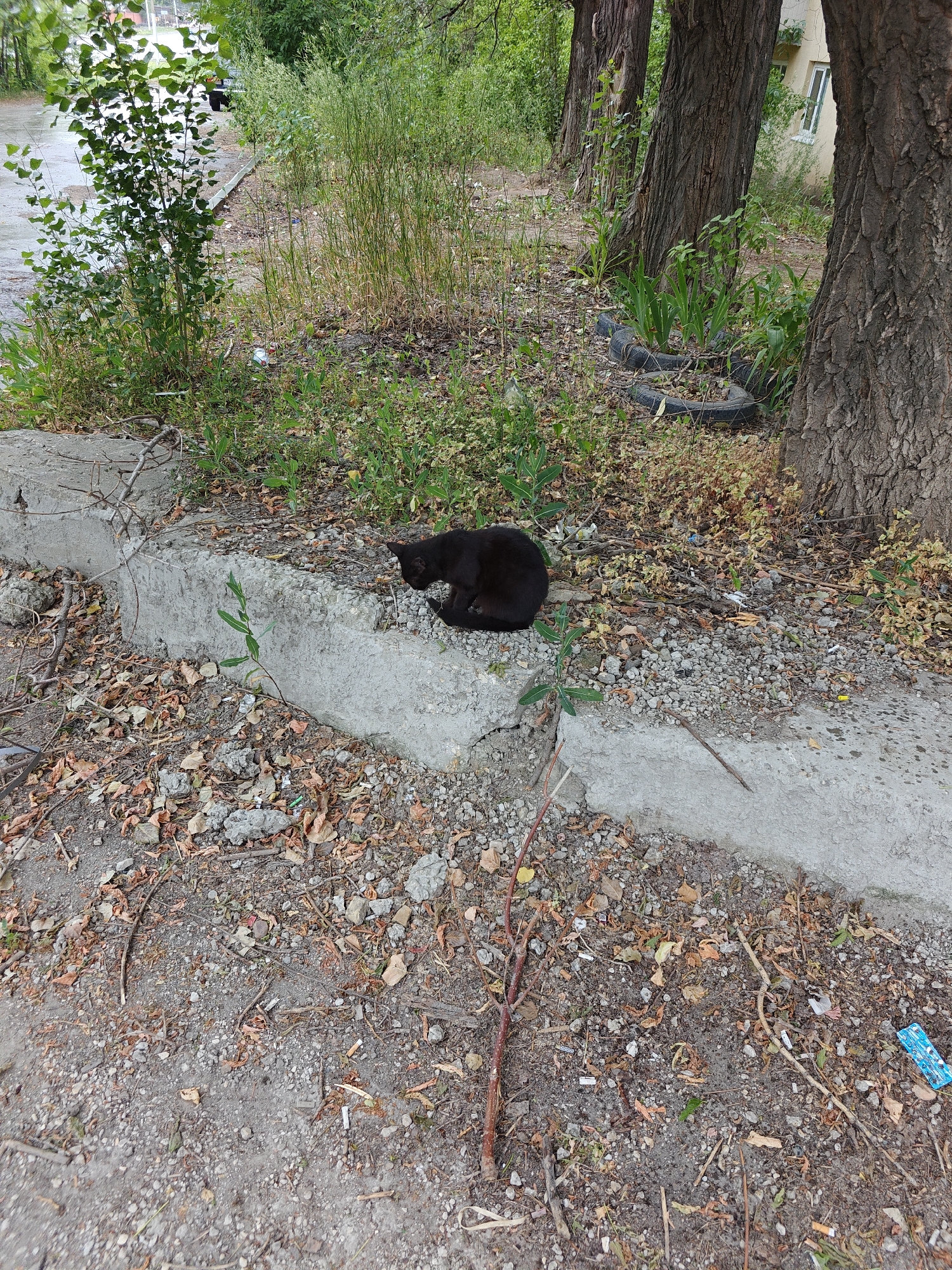 Saratov, Russia