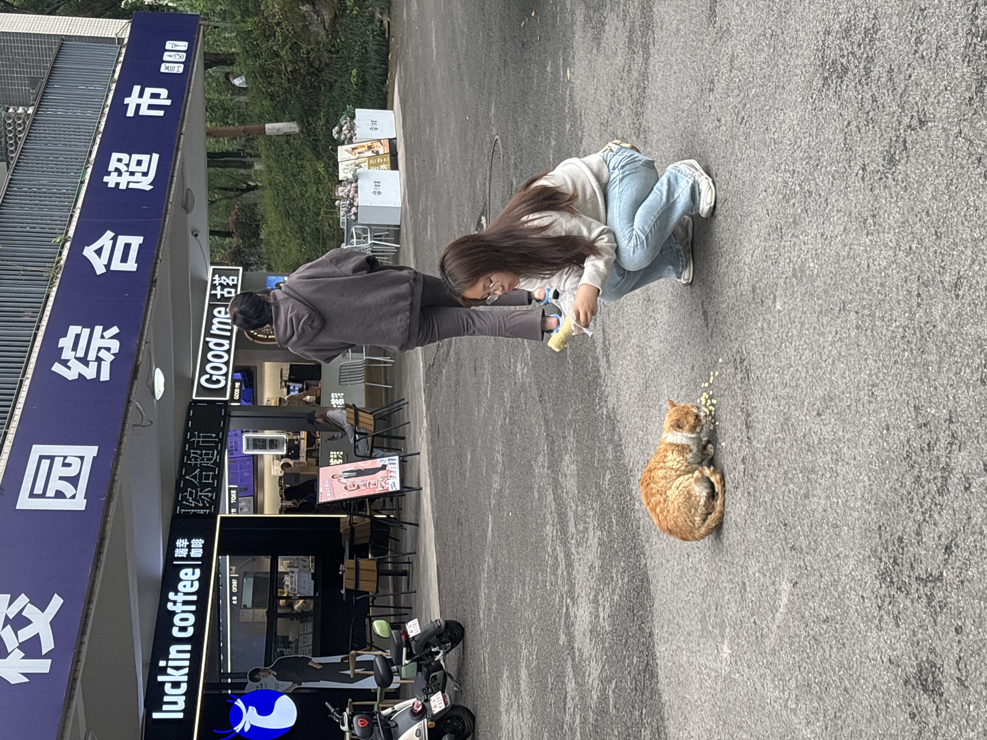 Street moments captured in Jiangjin: cat feeding, scooter rider