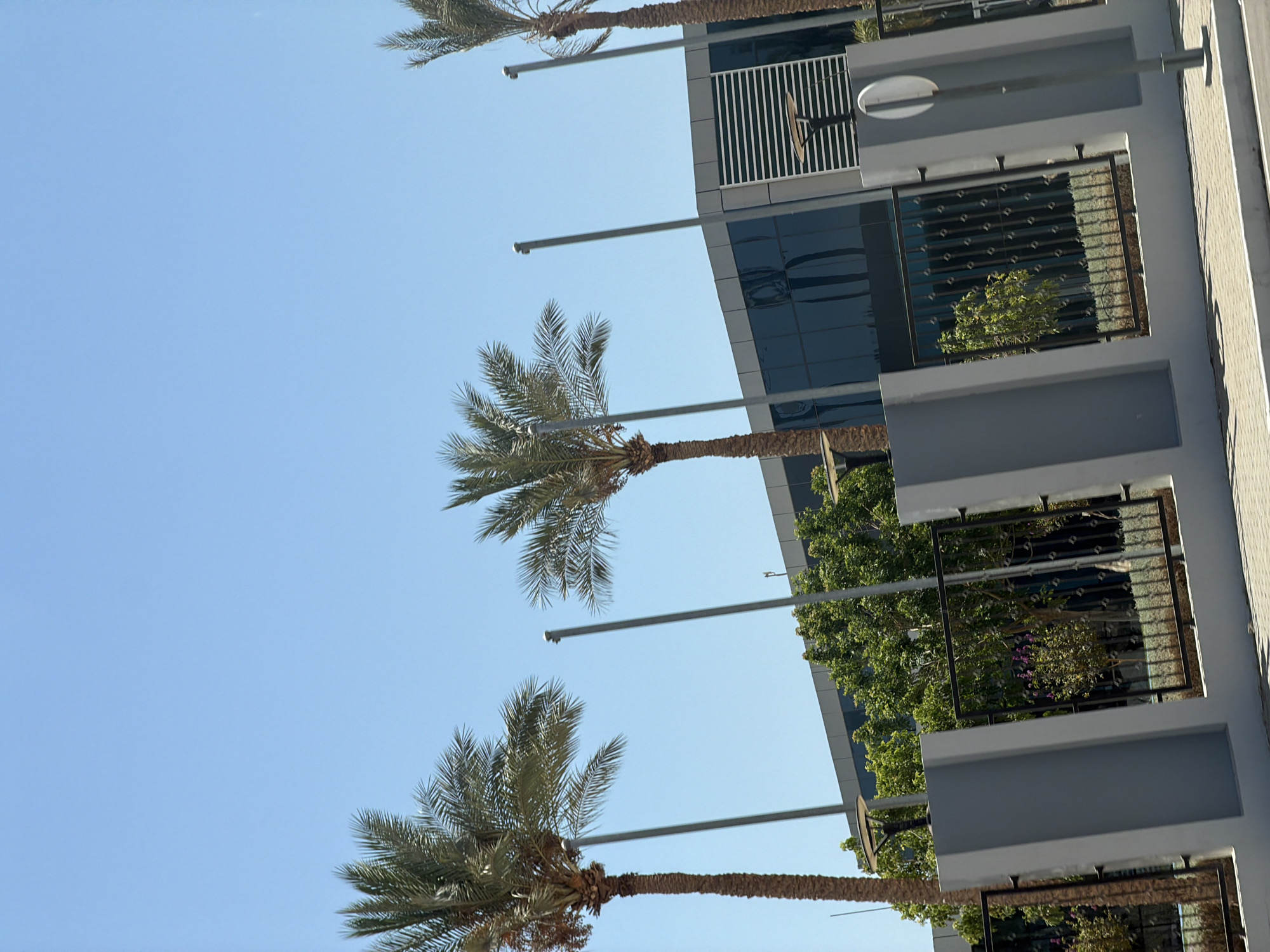 Outside Cecil Hotels & Resorts, Sharm El Sheikh, clear morning