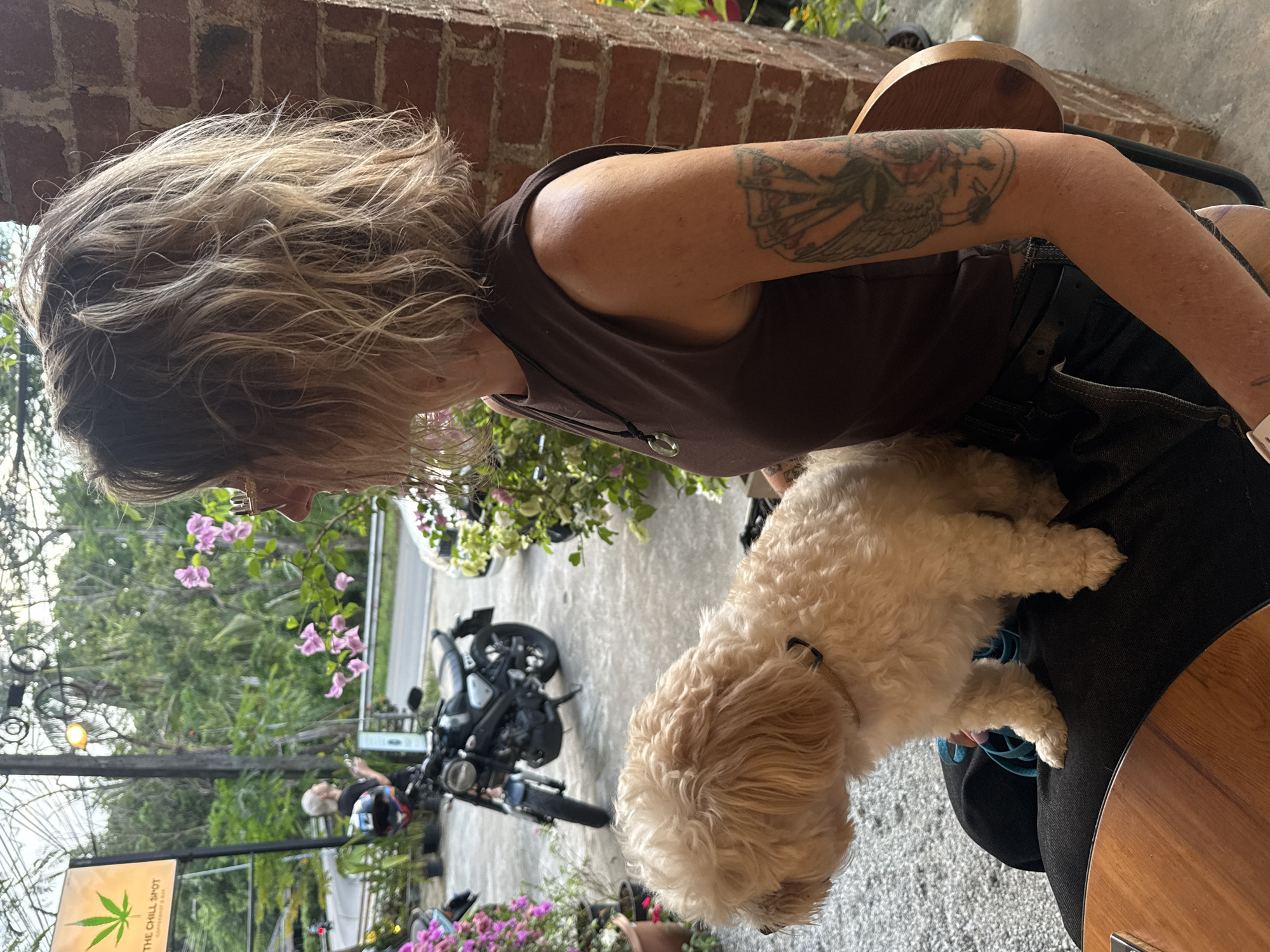 Lazy morning in Karon: a cute dog, pool, and ocean views