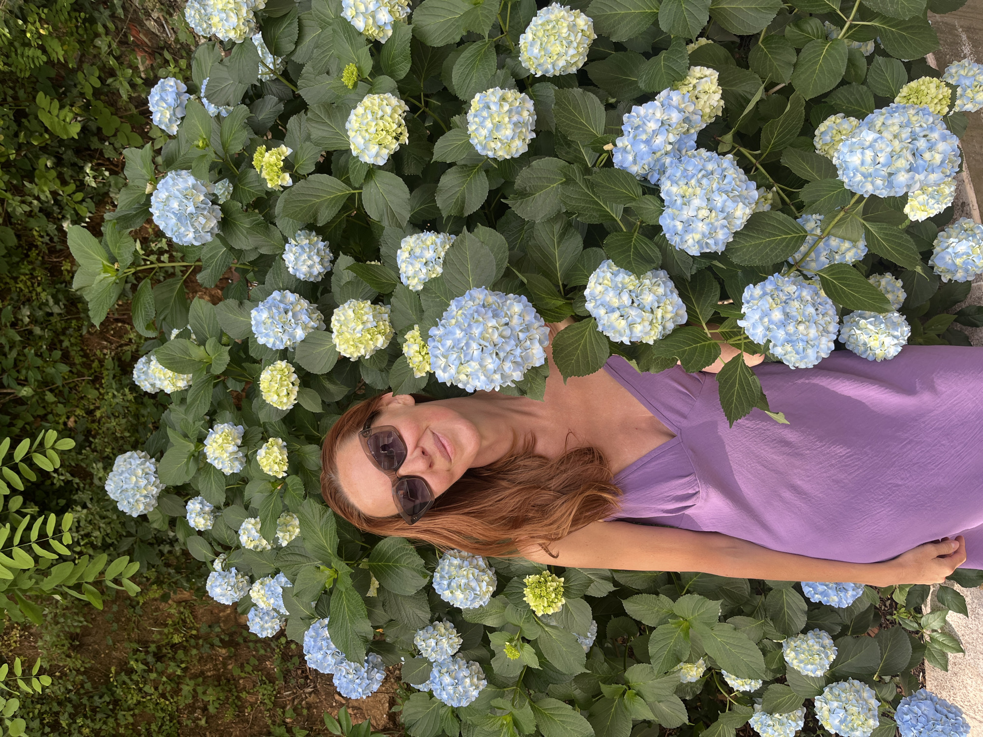 Morning scenes captured around Budva, Montenegro's hydrangeas and landmarks