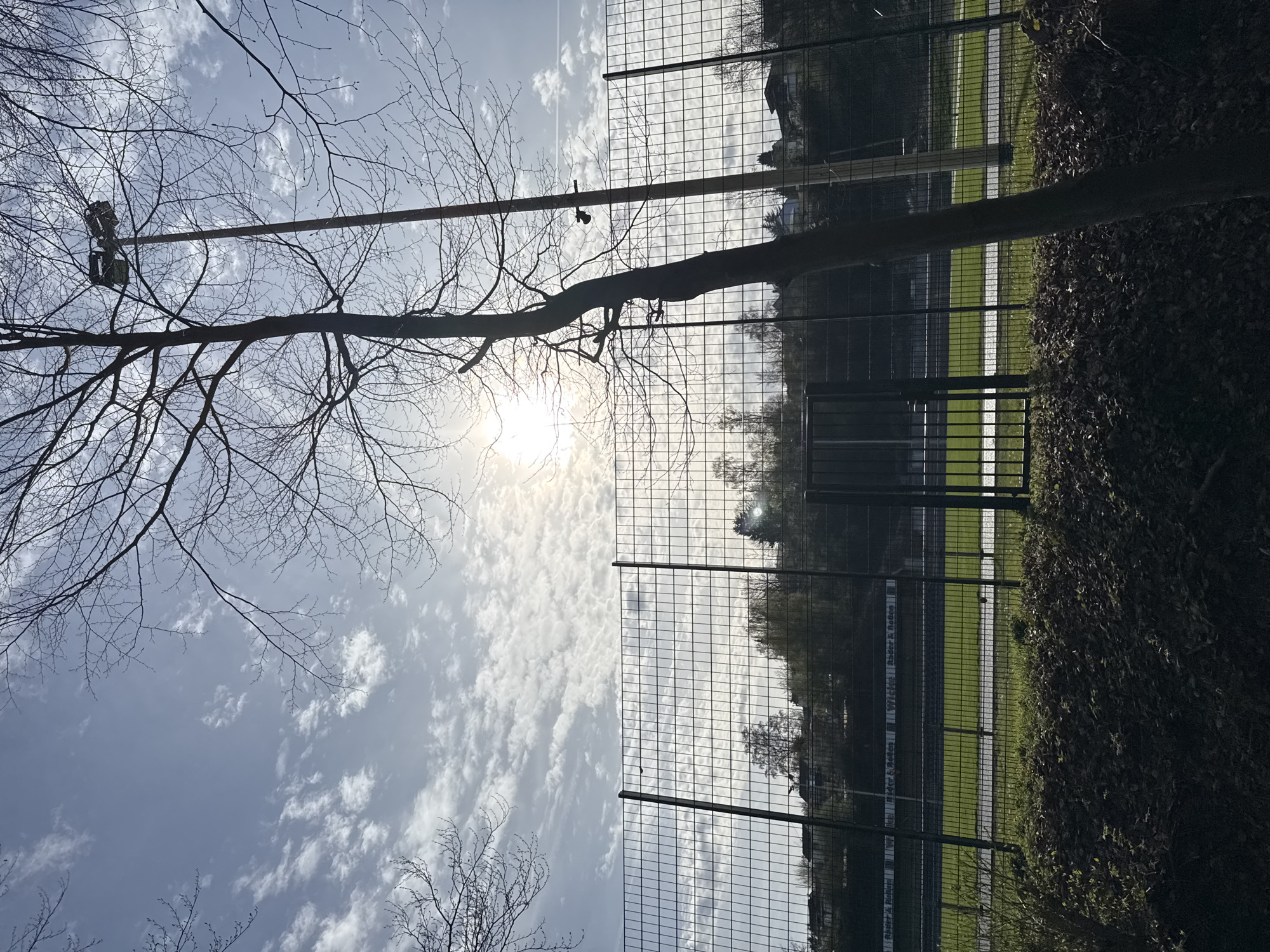 Springtime fence line scene captured in Wuppertal