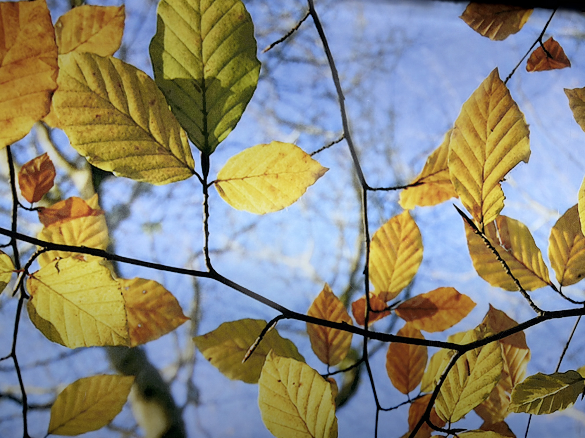 Spring moments captured across Tyumen in single minute