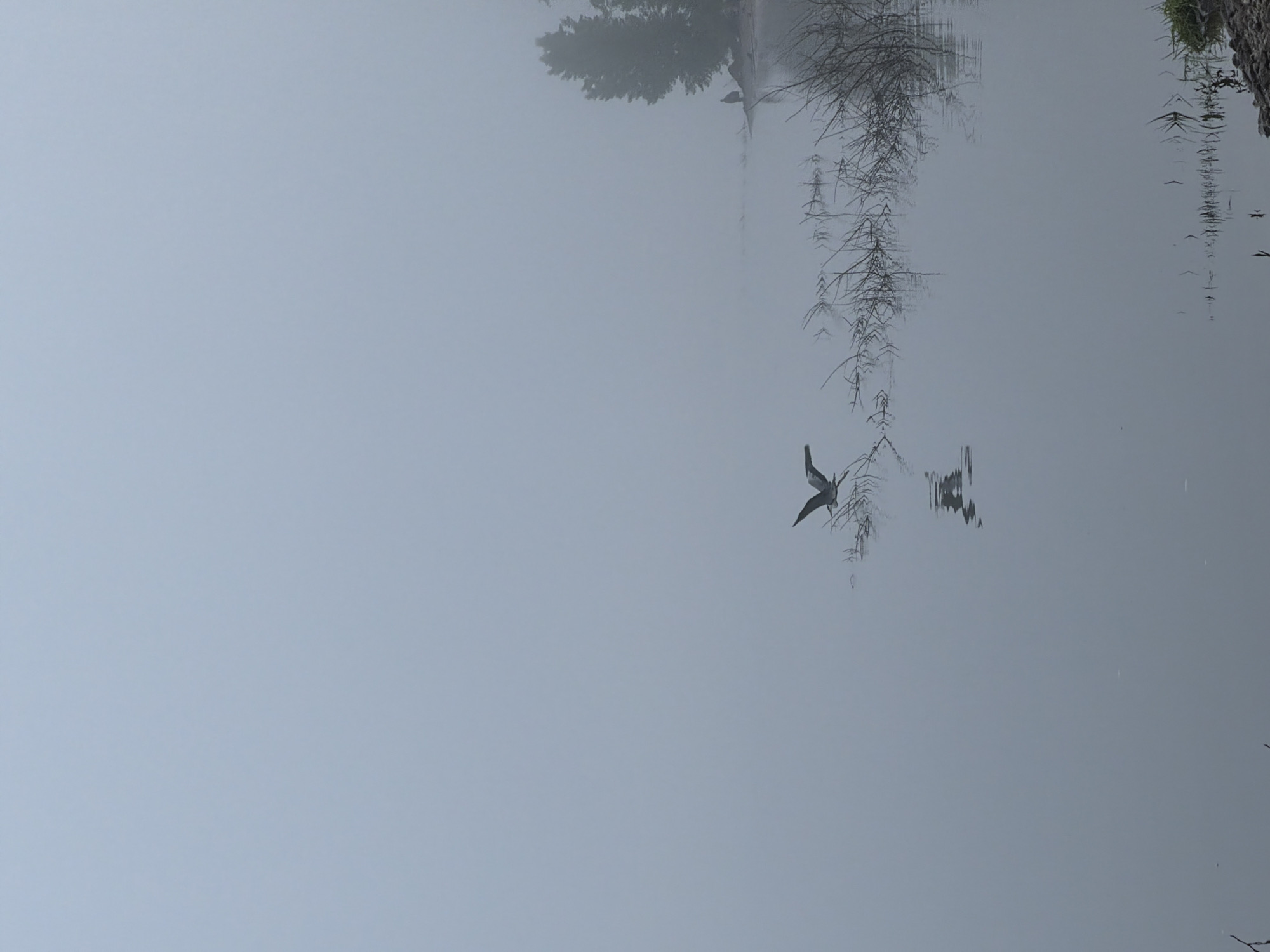 Early morning fishing session documented in misty Noviy, Russia