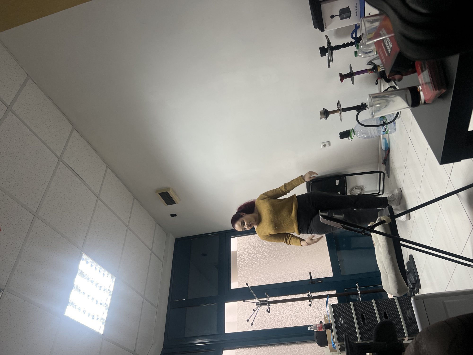 Woman observed in Sofia office space Friday afternoon