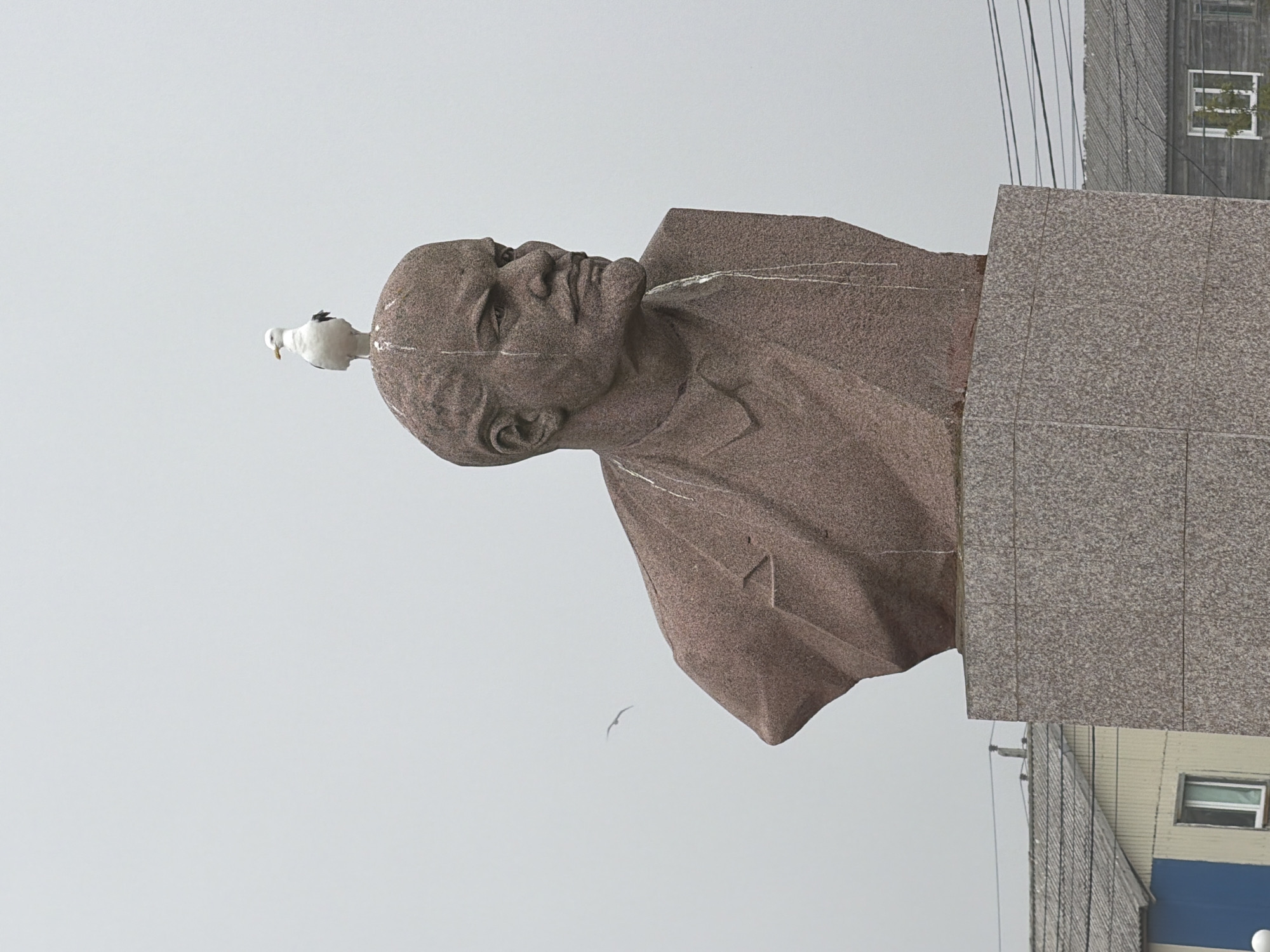 Seagull, Lenin, and everyday life in Yuzhno-Kurilsk