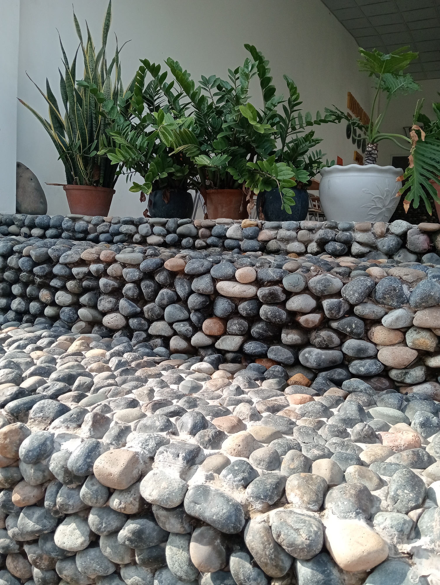 Tiered stone garden with plants documented in outdoor setting