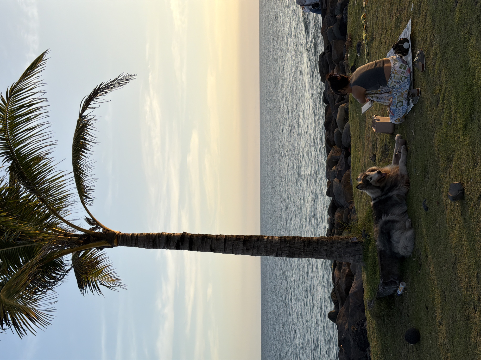 Tourist activities documented across Mengwi beaches during morning hours