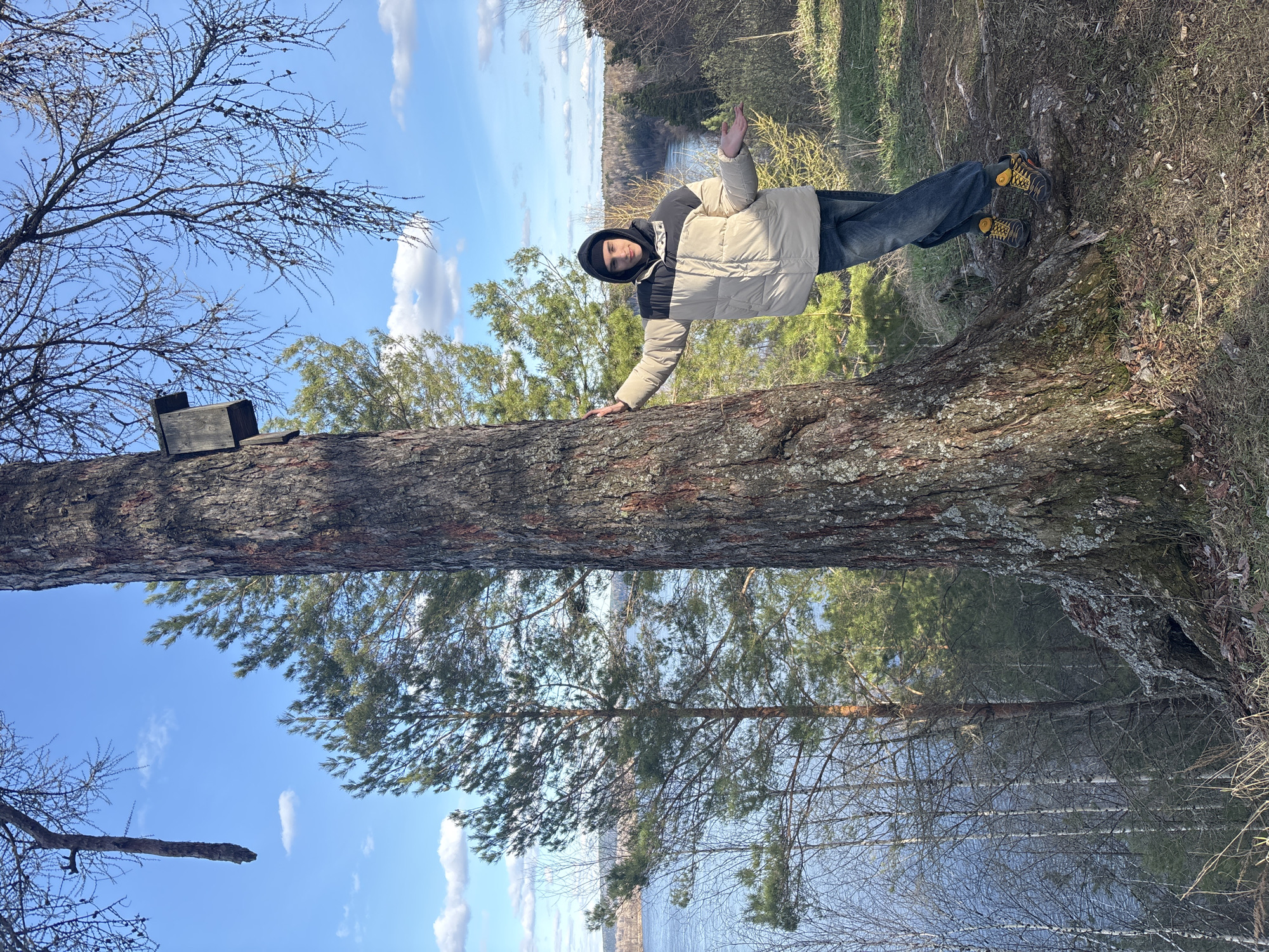 Man poses against fallen tree trunk in Novyi, Russia