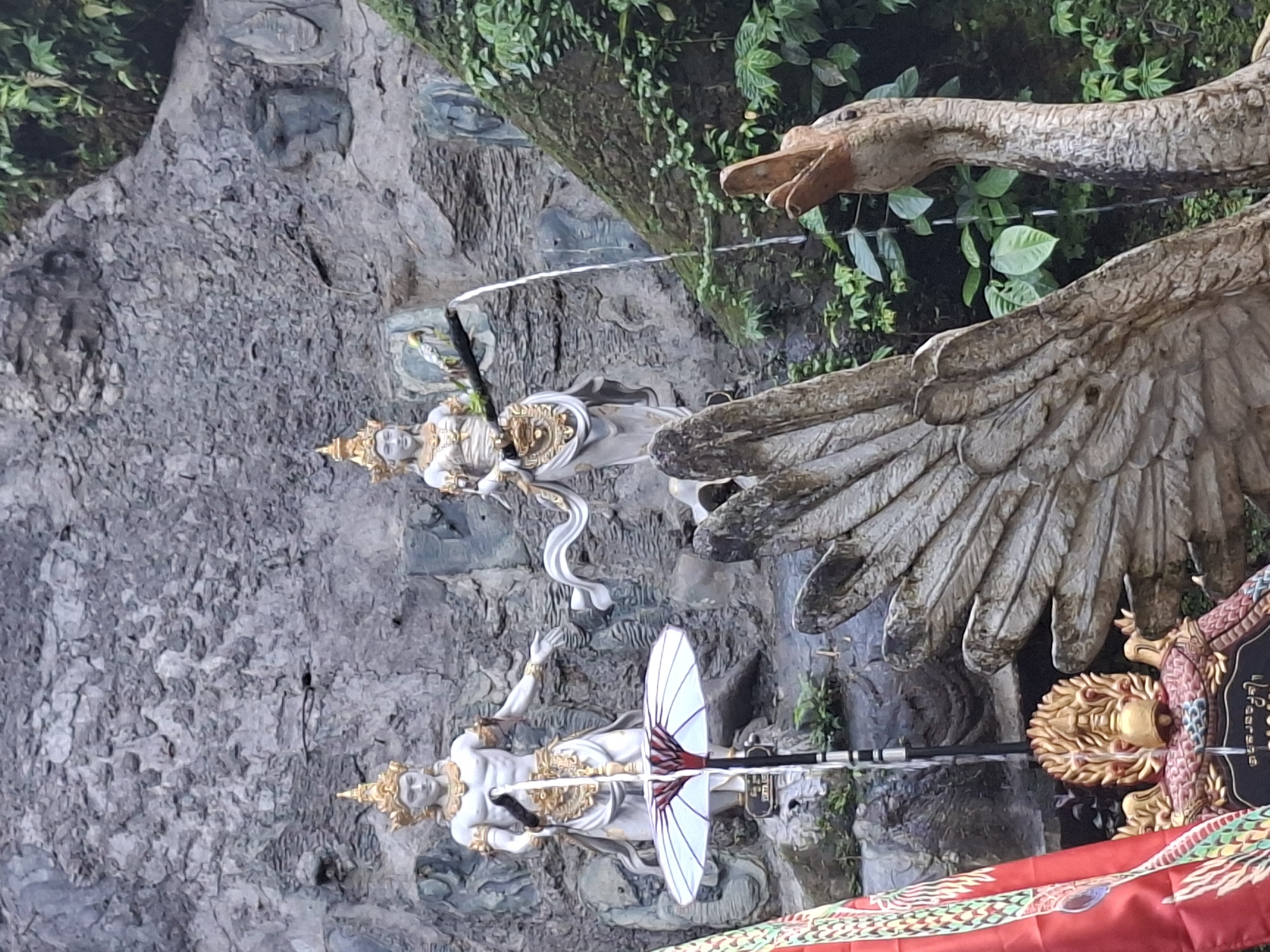 Witness documents tropical forest walk in Susut, Indonesia