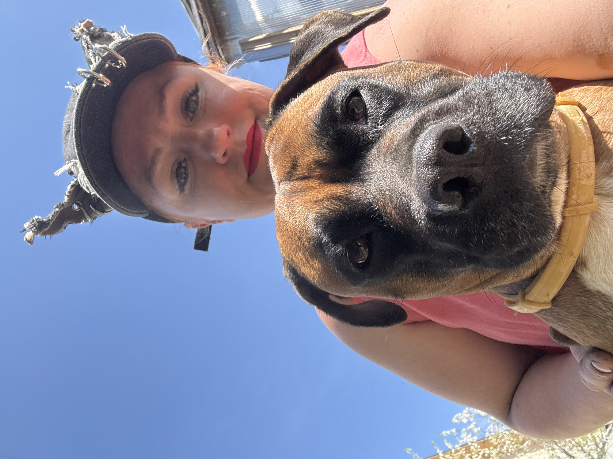 Family breakfast and playtime with boxer dog in Chaikovsky