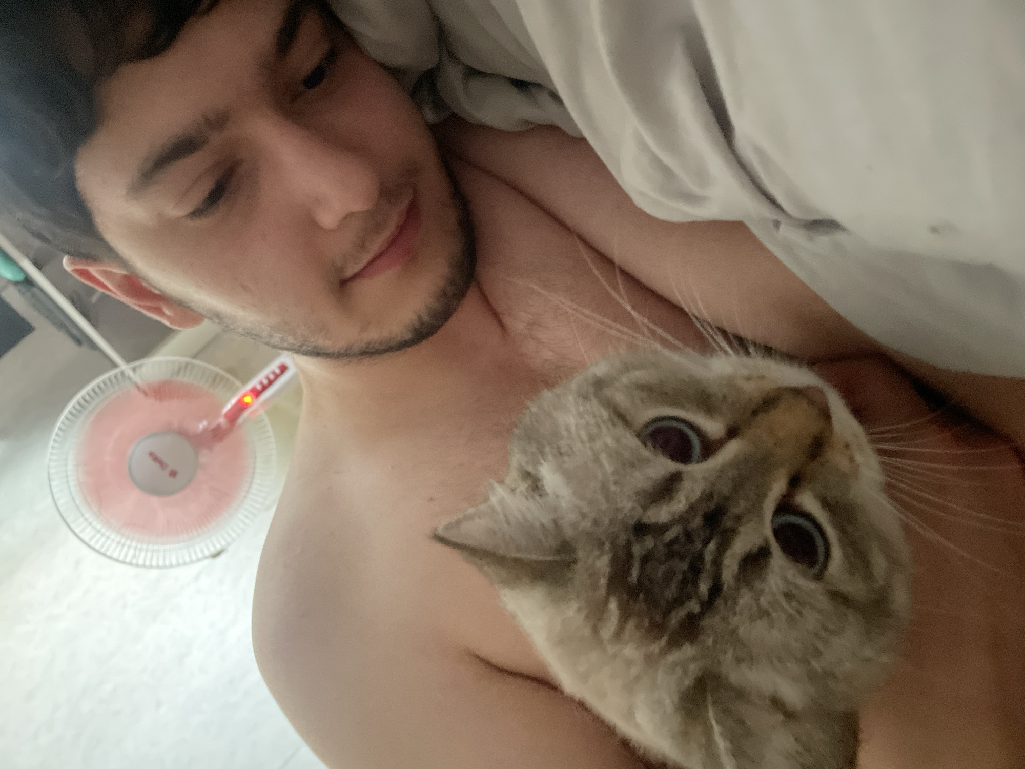 Lazy morning in Votkinsk with cats, tea, and a rabbit