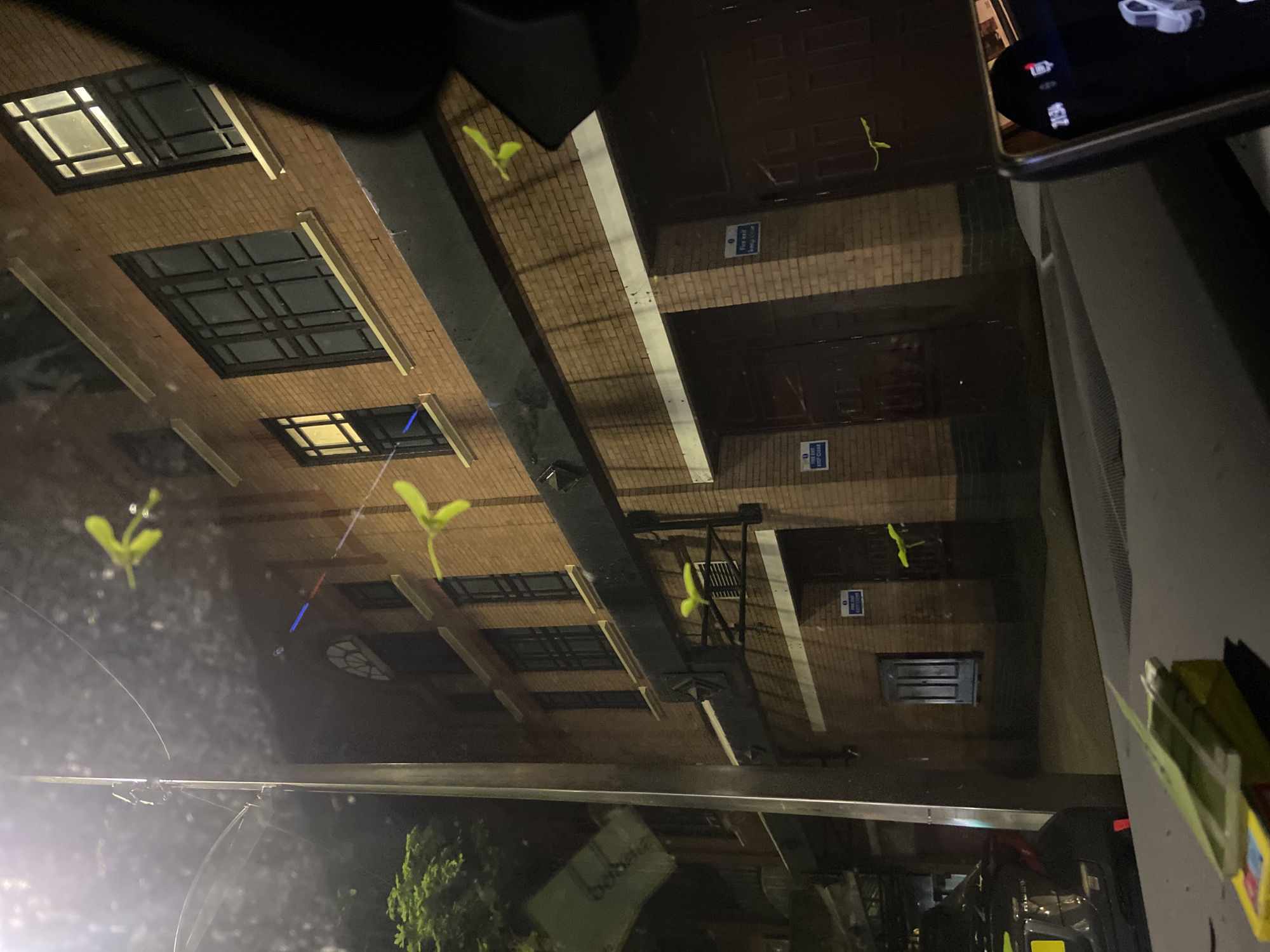 Nighttime photo of brick building captured from vehicle in Bristol