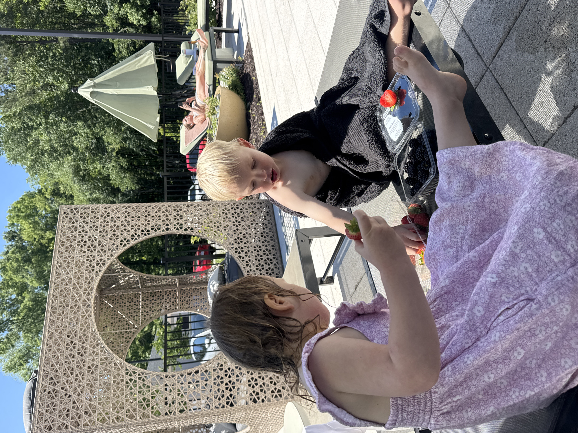 Family enjoys poolside afternoon with children sharing strawberries