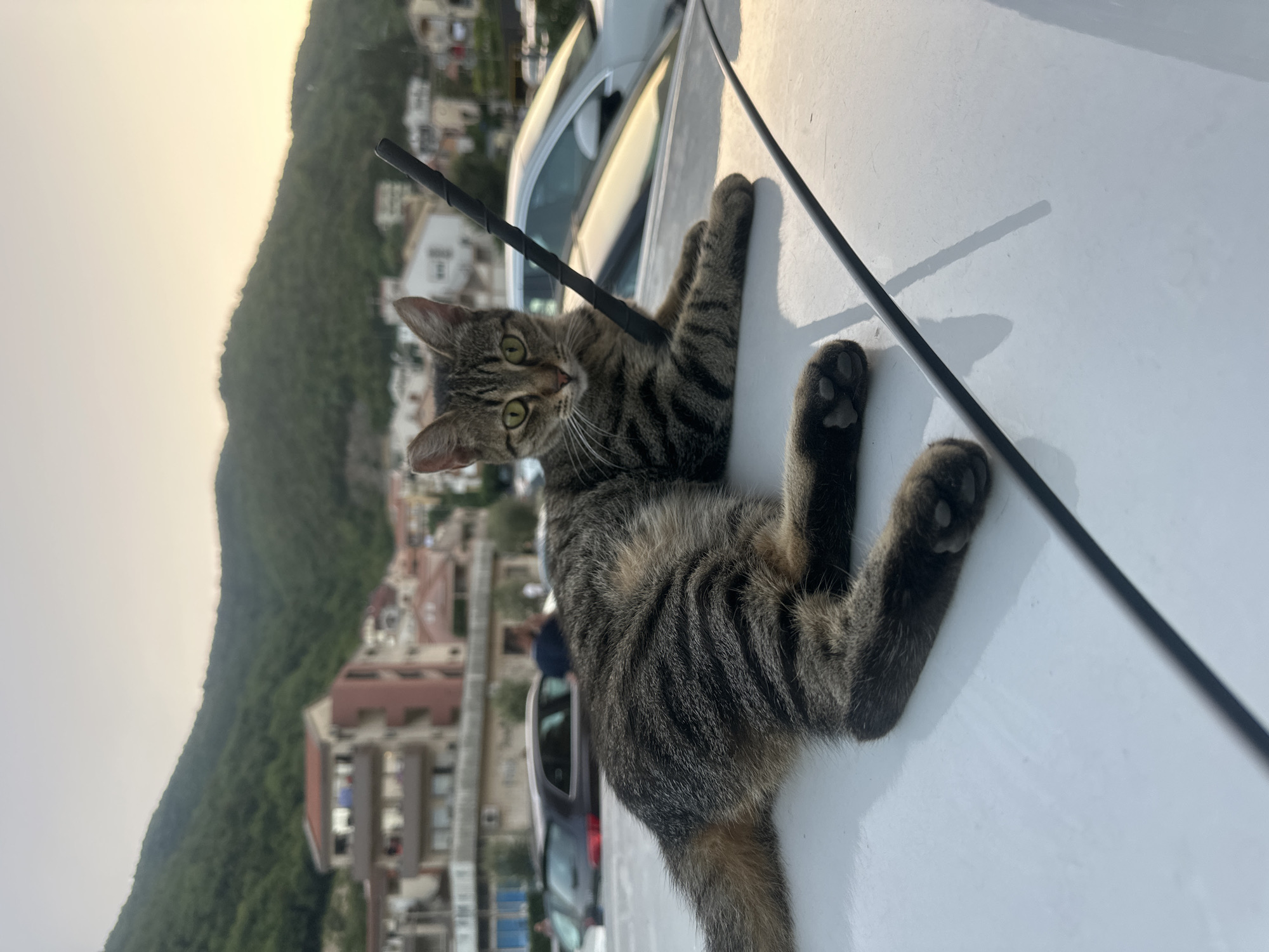 Event