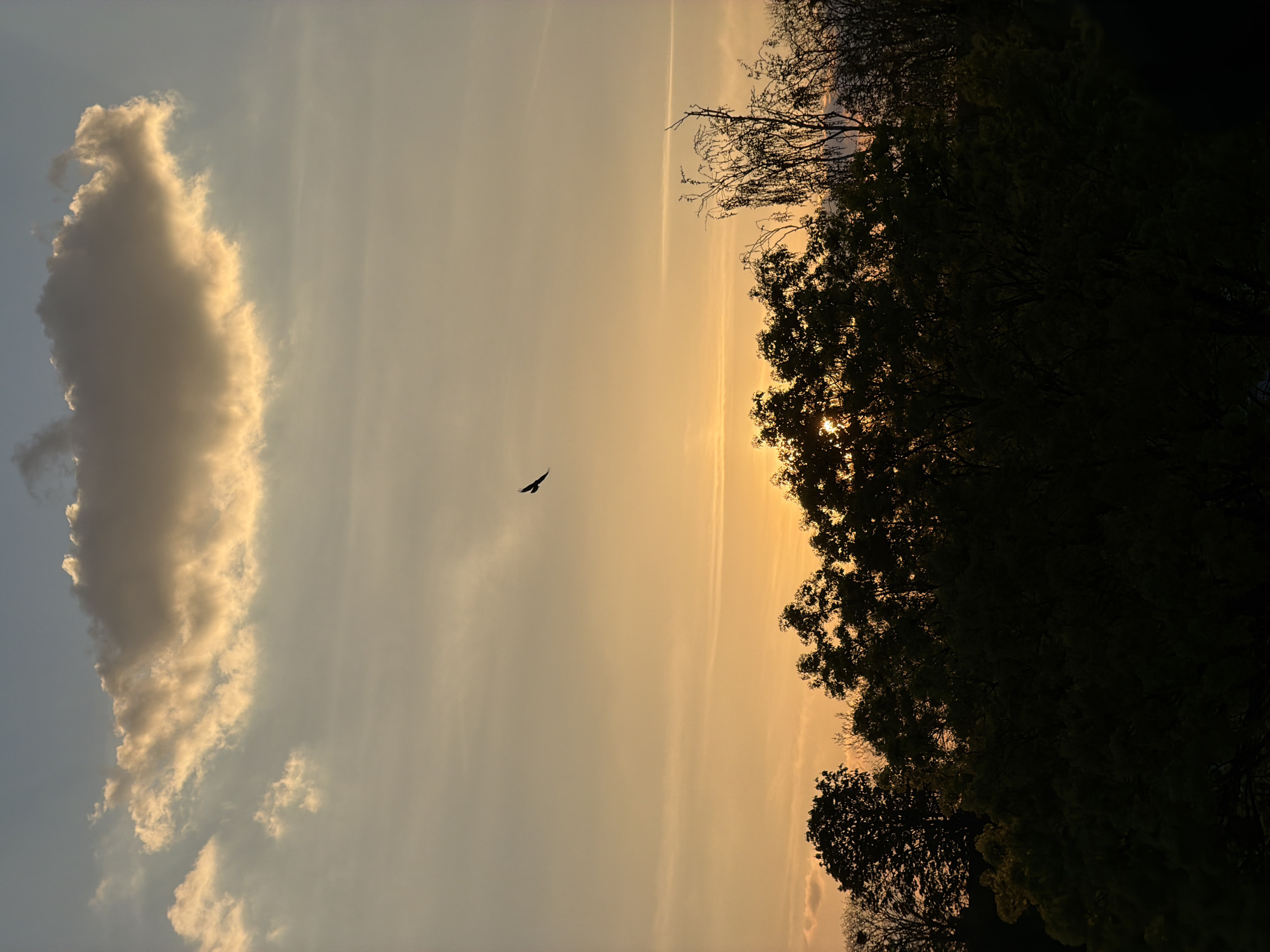 Sunset with illuminated clouds observed in Esch-sur-Alzette, Luxembourg