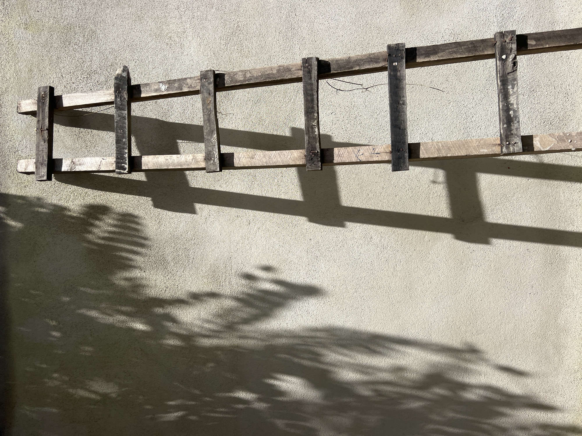 Morning documentation of architectural details and natural elements
