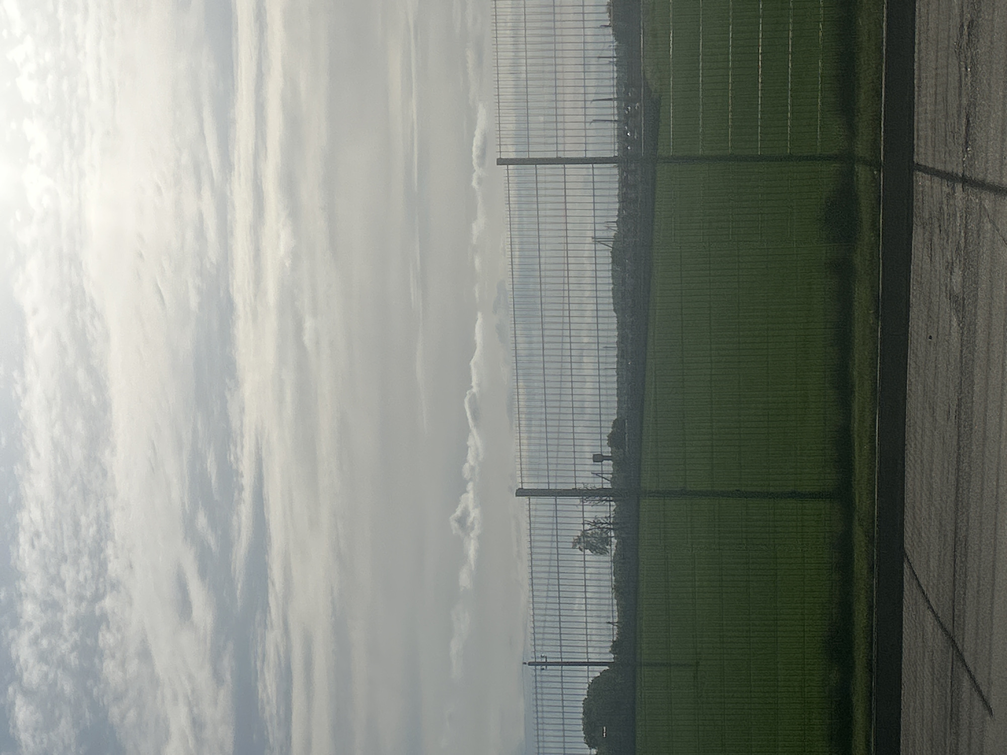 Sports field with artificial turf observed in Belarus