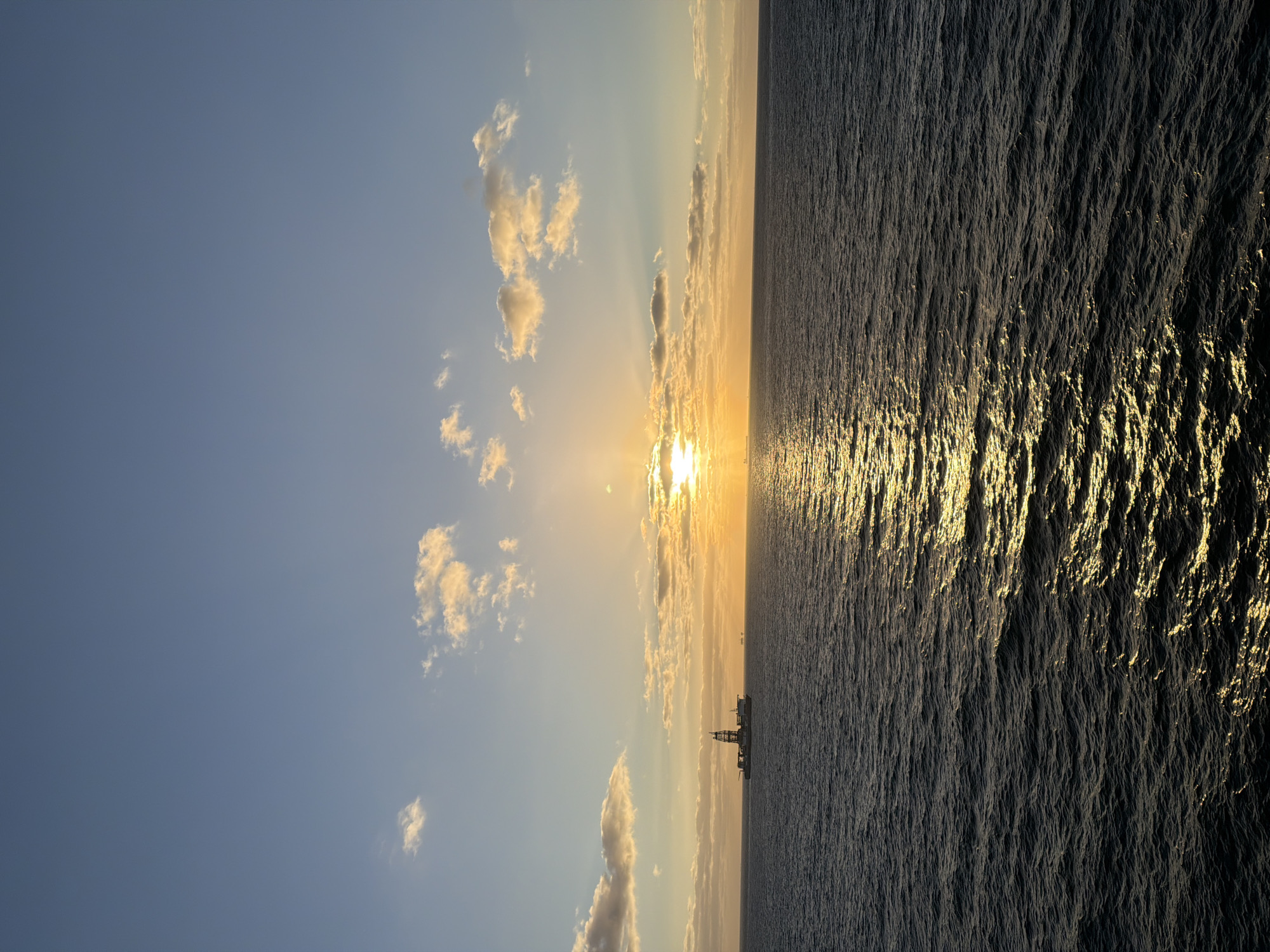 Daytime crescent moon and seabirds observed over Gulf waters